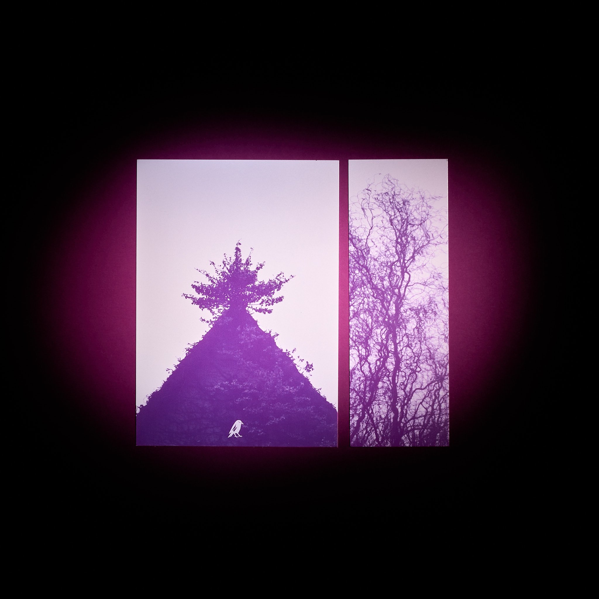 Capture One Catalog0039-30.jpg