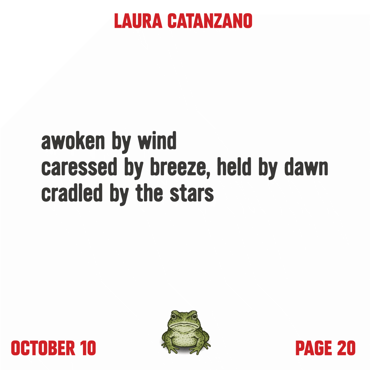 p20-laura-catanzano.png