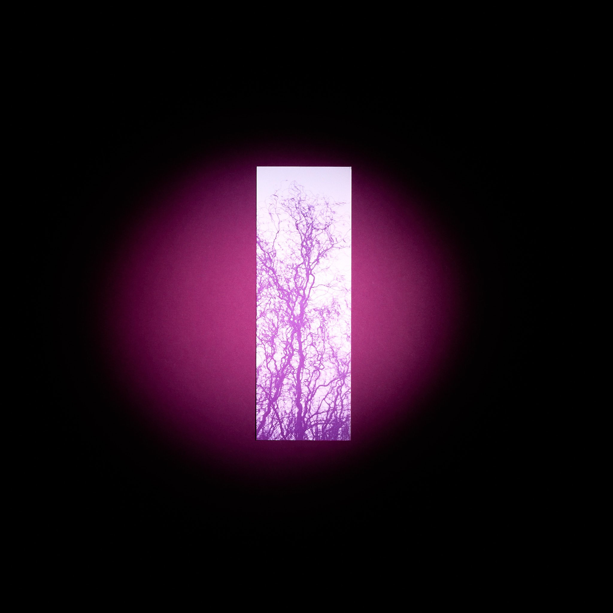 Capture One Catalog0035-28.jpg