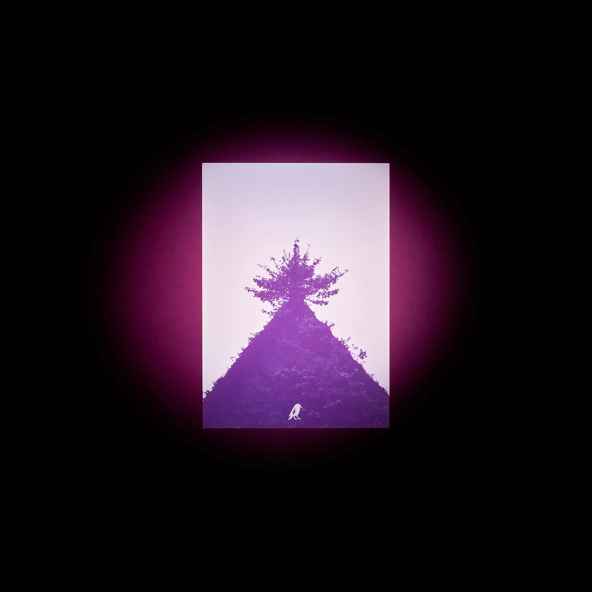 Capture One Catalog0036-29.jpg