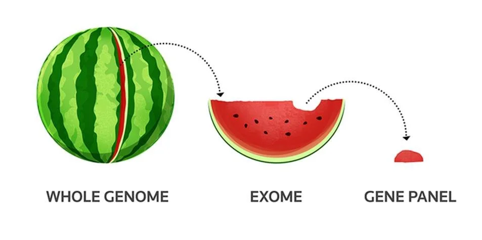  “Vùng tối” của bộ gen người: Đột biến de novo trong các vùng điều hòa và vai trò trong rối loạn phát triển thần kinh