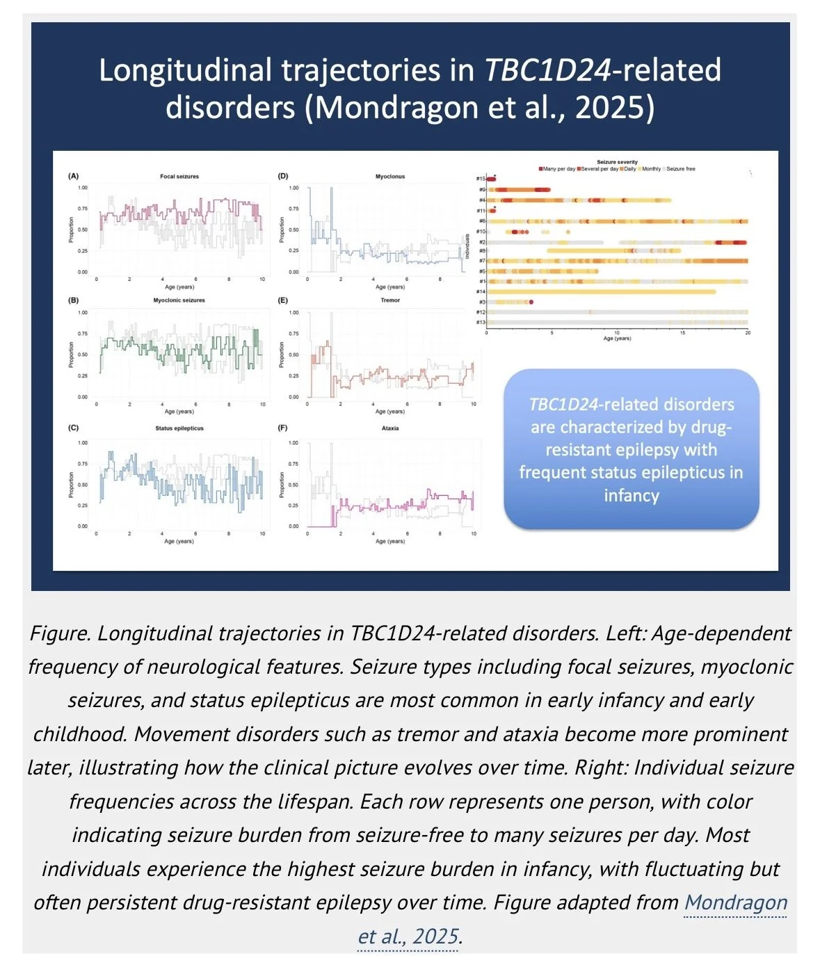 Diễn tiến dài hạn của bệnh não động kinh và phát triển do đột biến gen TBC1D24