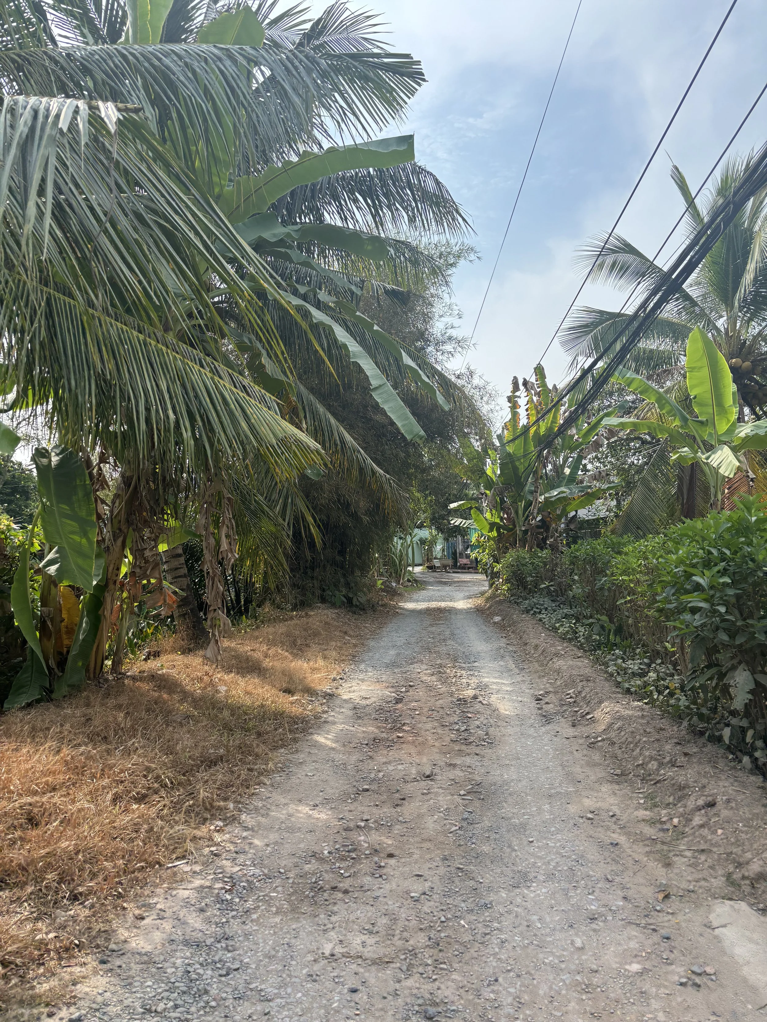 Con đường mình đi qua