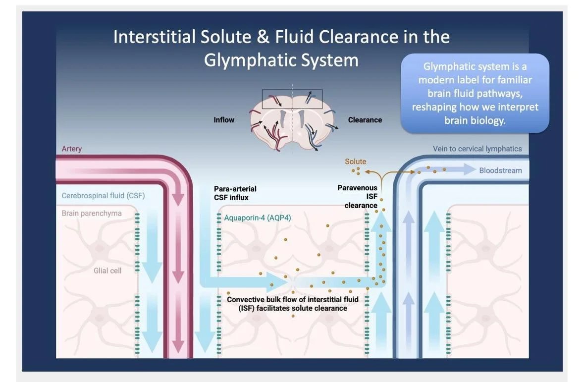 Những cái tên – và những câu chuyện chúng ta tự kể trong thần kinh học