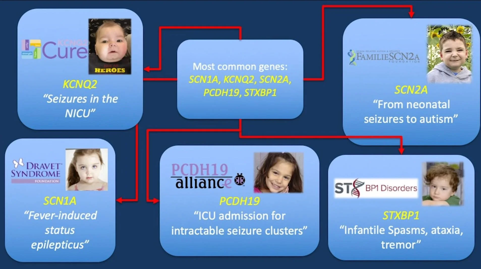 Con đường tôi đi