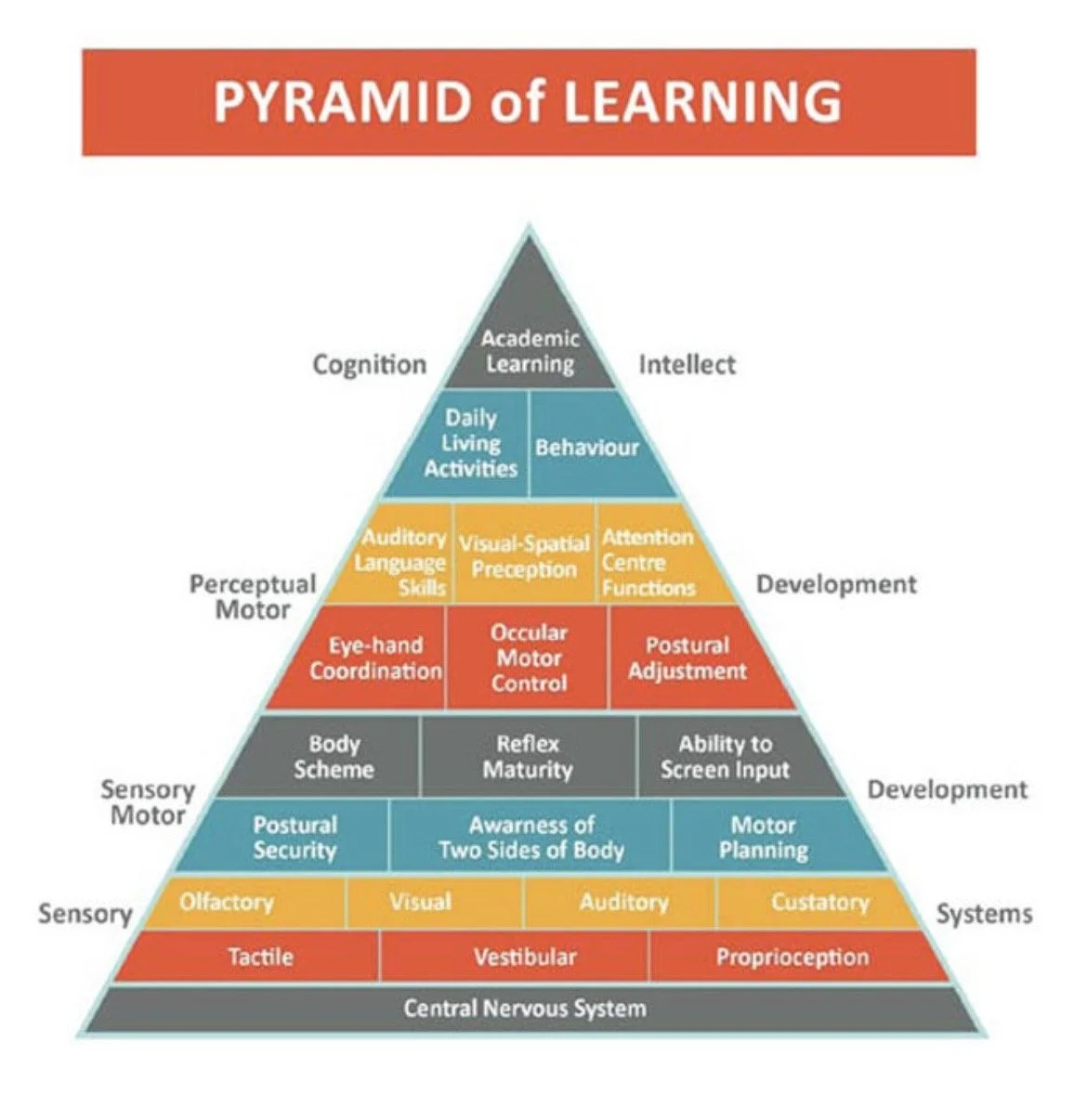 Pyramid of learning- khi việc học bắt đẩu từ những điều cơ bản