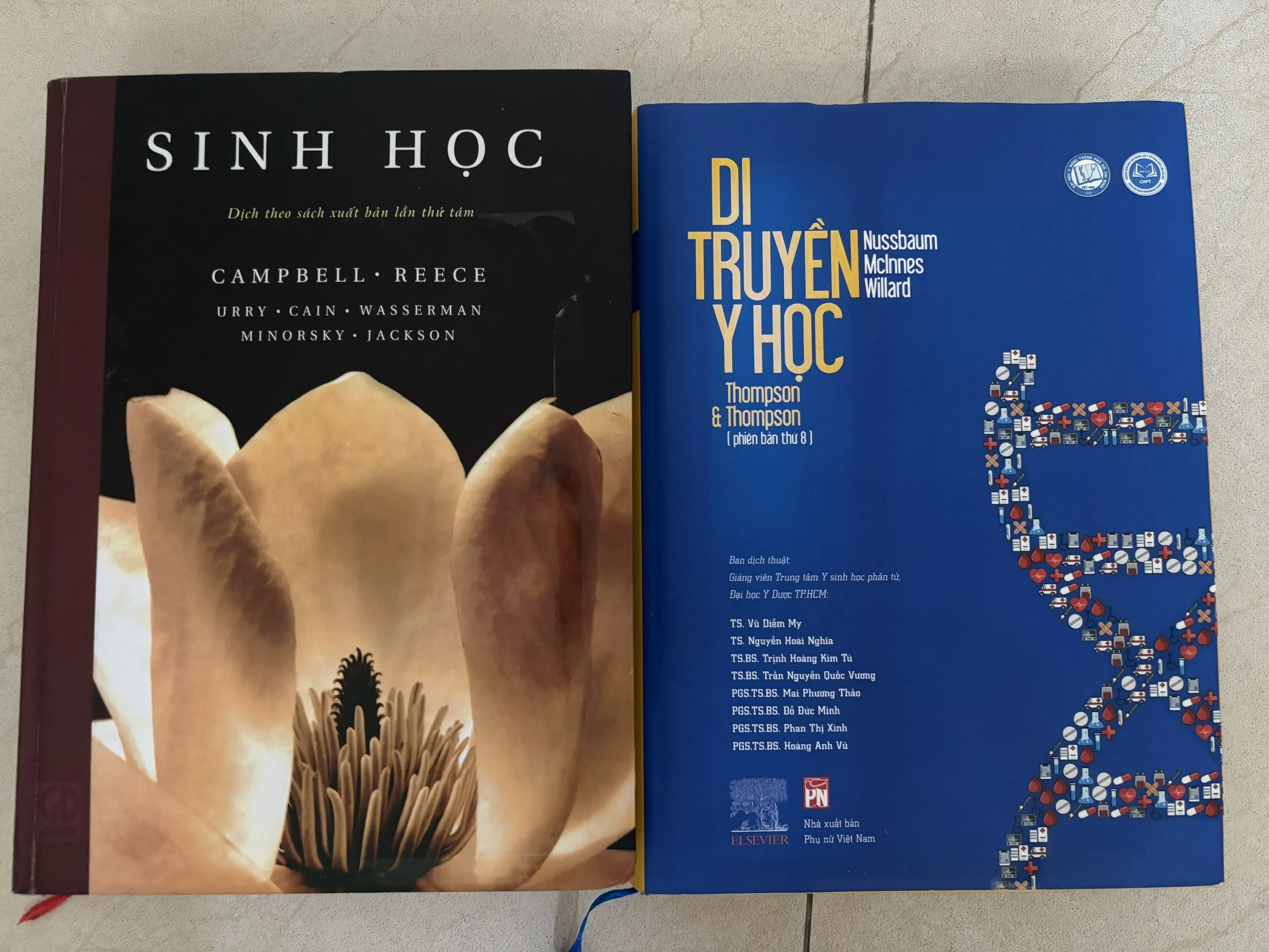 KHI RNA “NÓI” LỚN HƠN DNA – VÀ HÀNH TRÌNH QUAY LẠI SINH HỌC CƠ BẢN