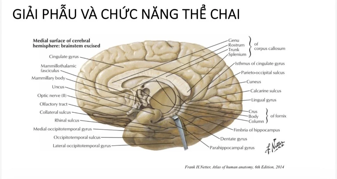Phẫu thuật cắt thể chai