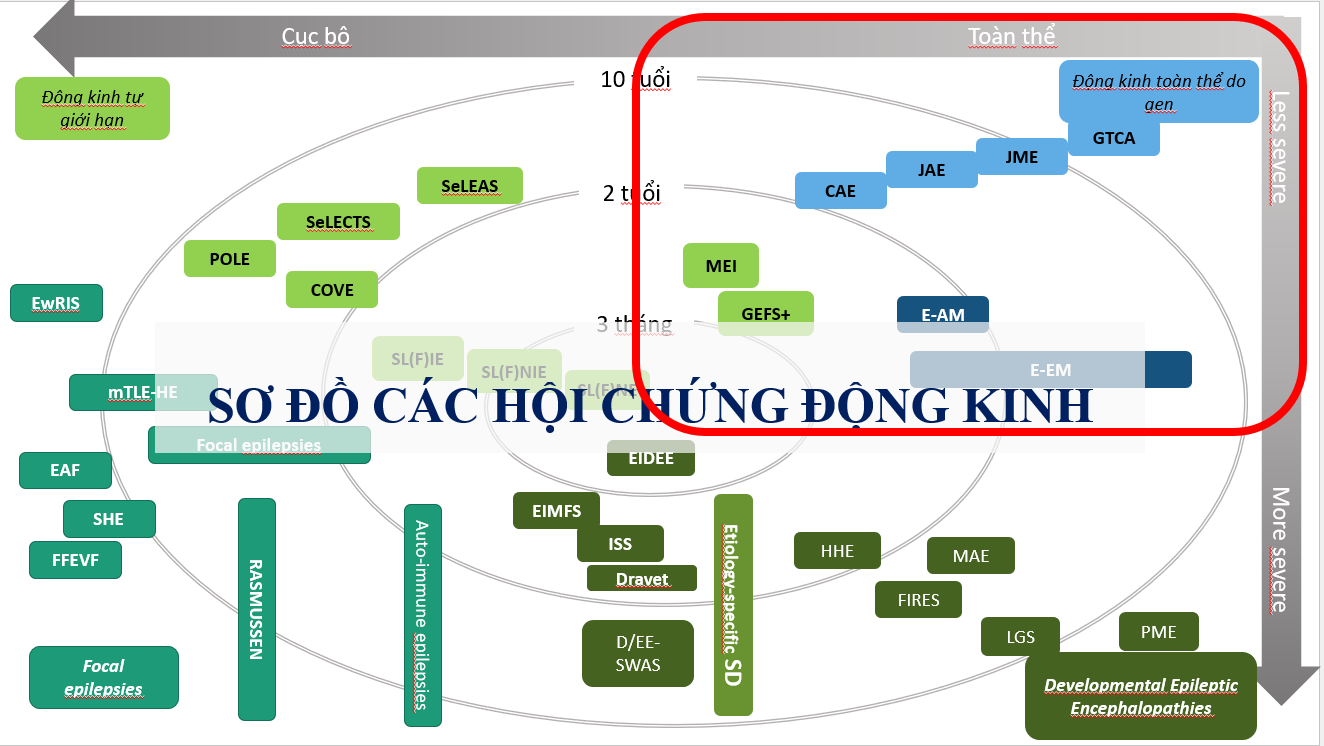 VI MẤT ĐOẠN TRONG ĐỘNG KINH TOÀN THỂ DI TRUYỀN