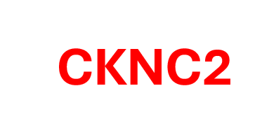 KCNC2 