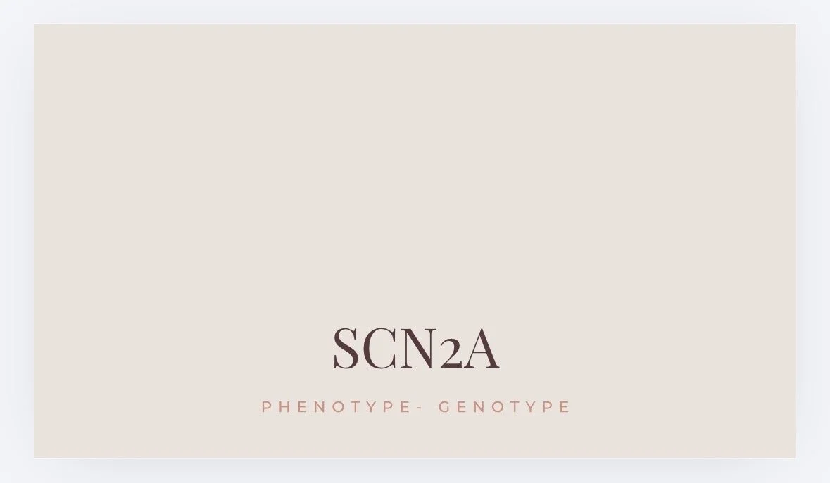 SCN2A: Từ động kinh gia đình tự giới hạn đến bệnh não động kinh và rối loạn phát triển thần kinh