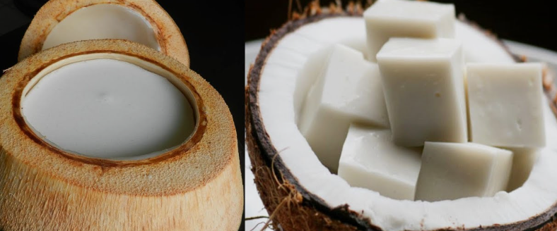 BÁNH PUDDING SỮA DỪA KETO