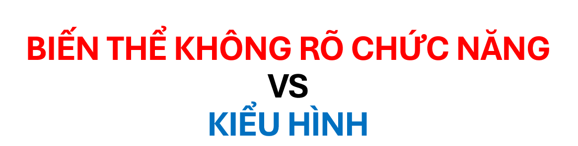VÌ SAO BIẾN THỂ CHƯA RÕ Ý NGHĨA VẪN CẦN ĐƯỢC ĐỐI CHIẾU VỚI KIỂU HÌNH?