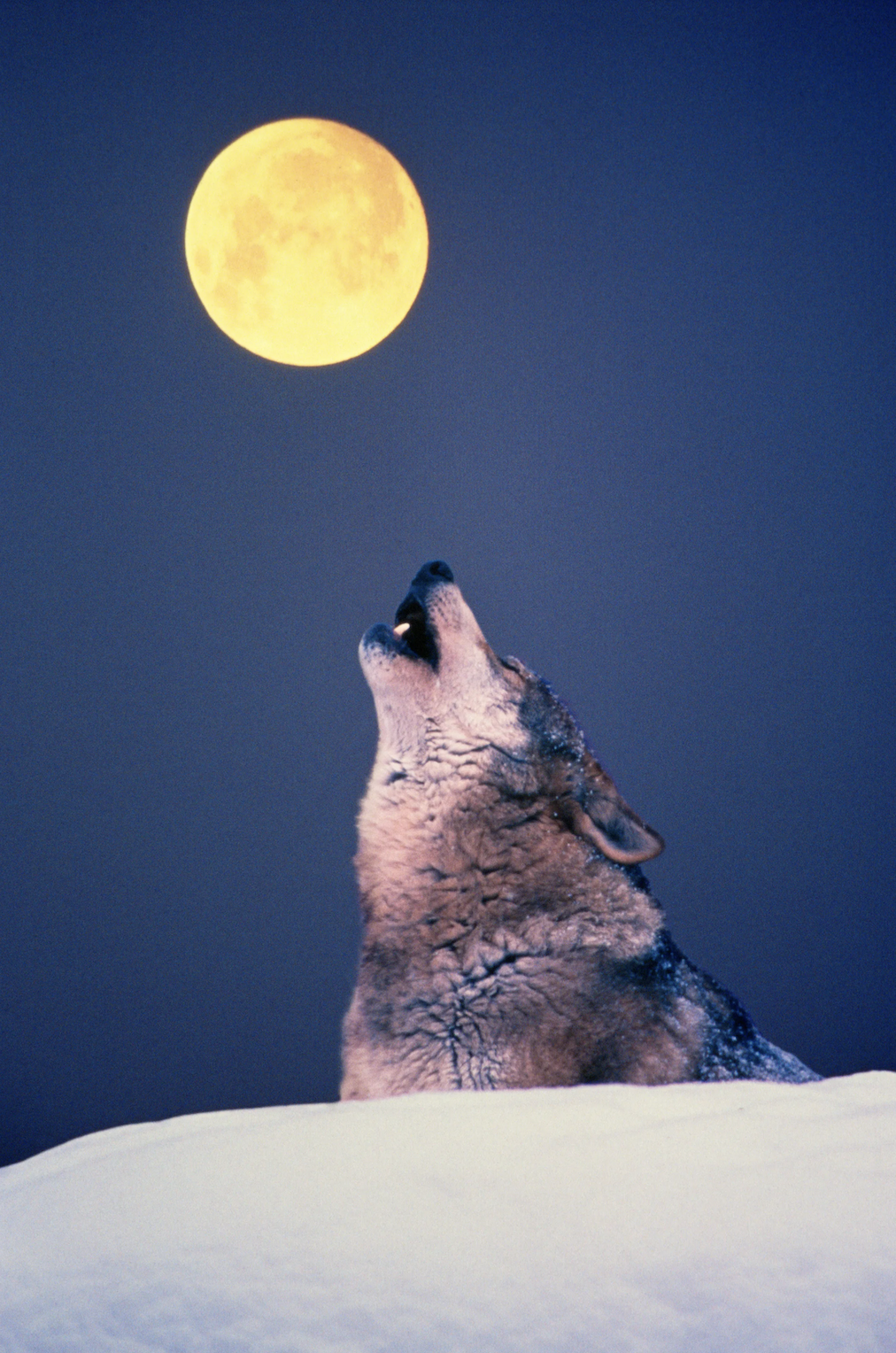 Capture d’écran 2025-12-30 à 10.49.43.png