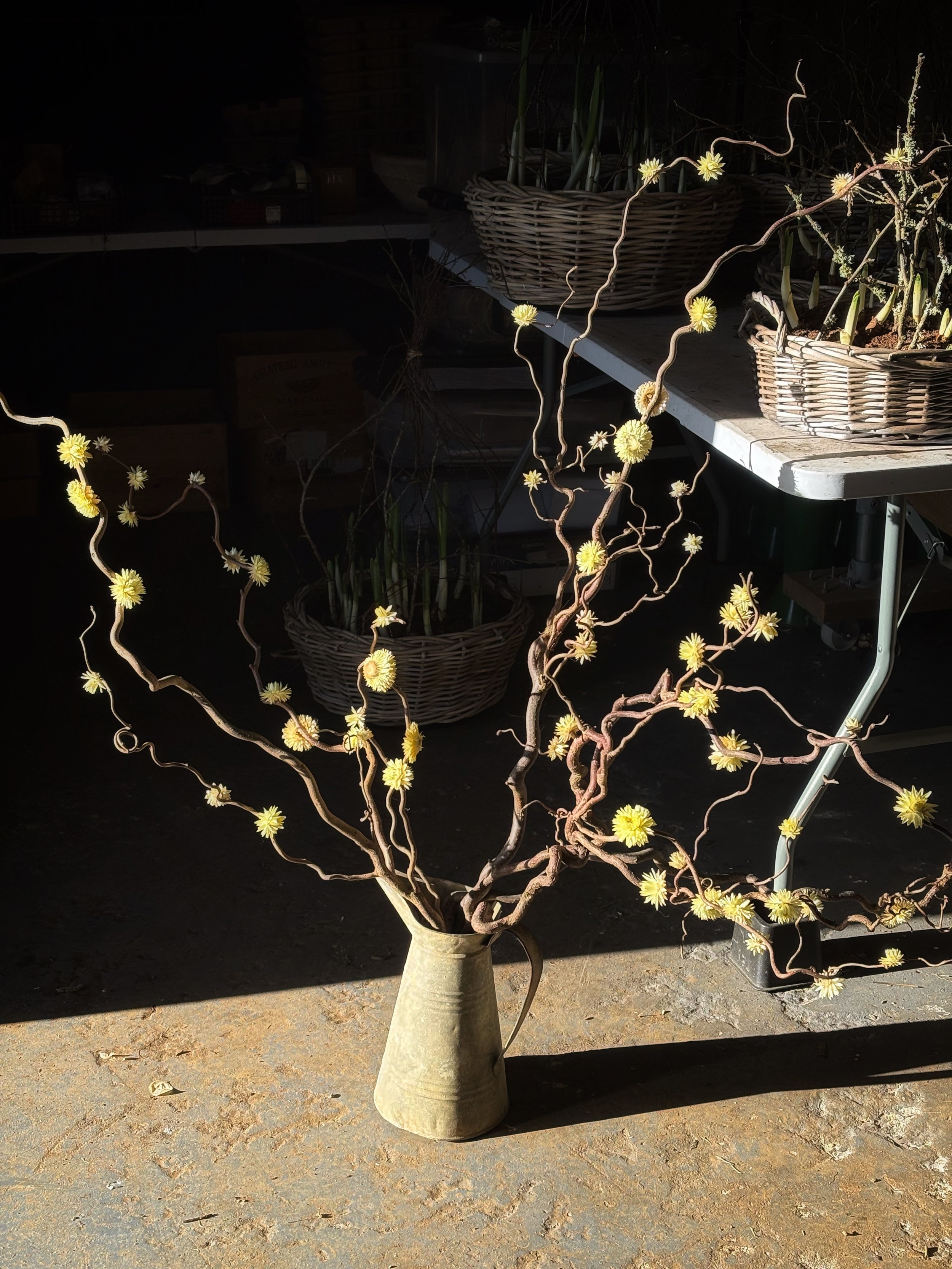 Christmas decorations at Chippy Flower Farm.jpg