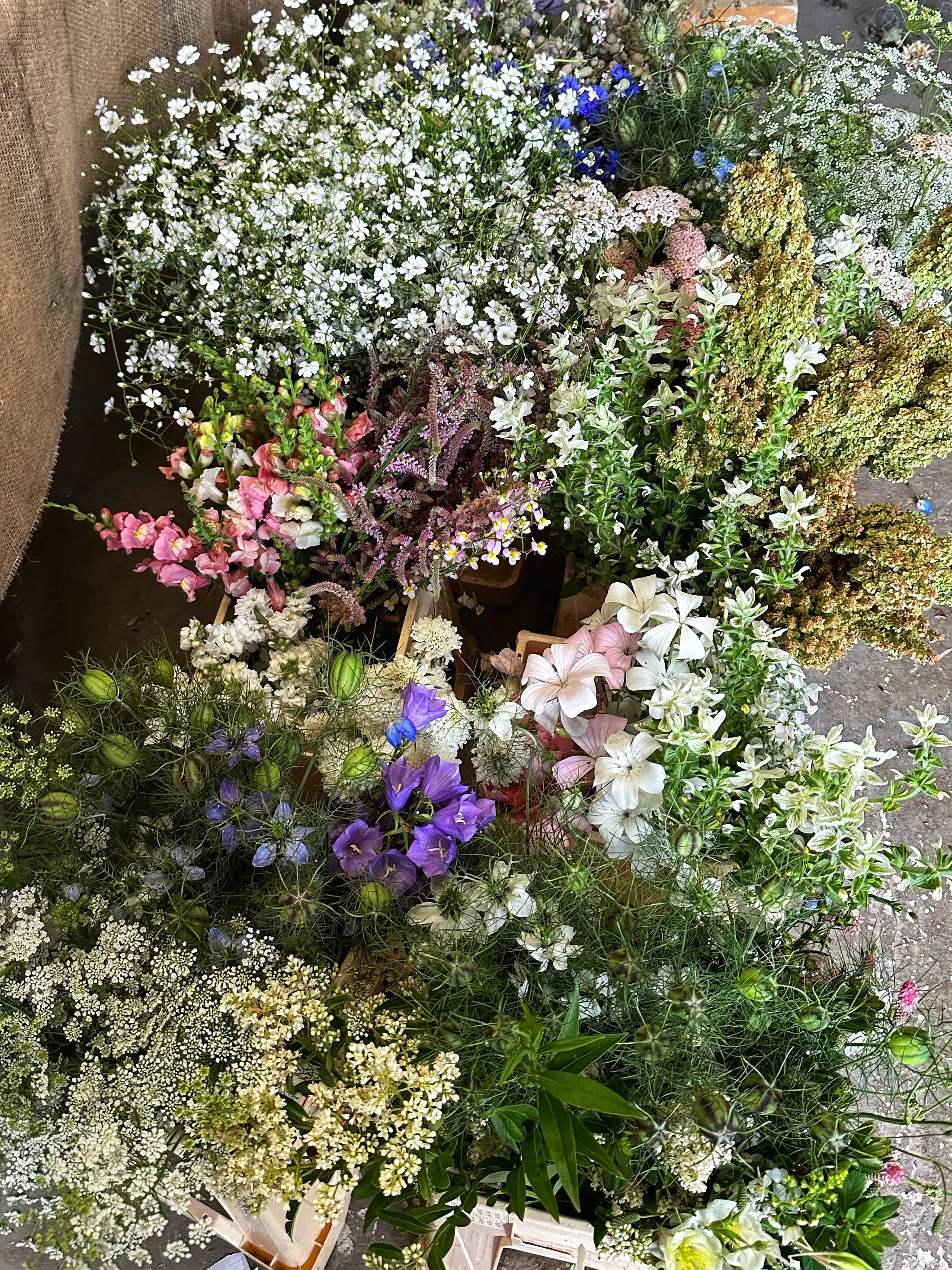 Flowers from Chippy Flower Farm.JPG
