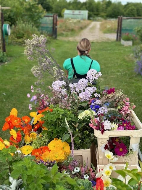 Trolleyful of flowers from Chippy Flower Farm.jpeg