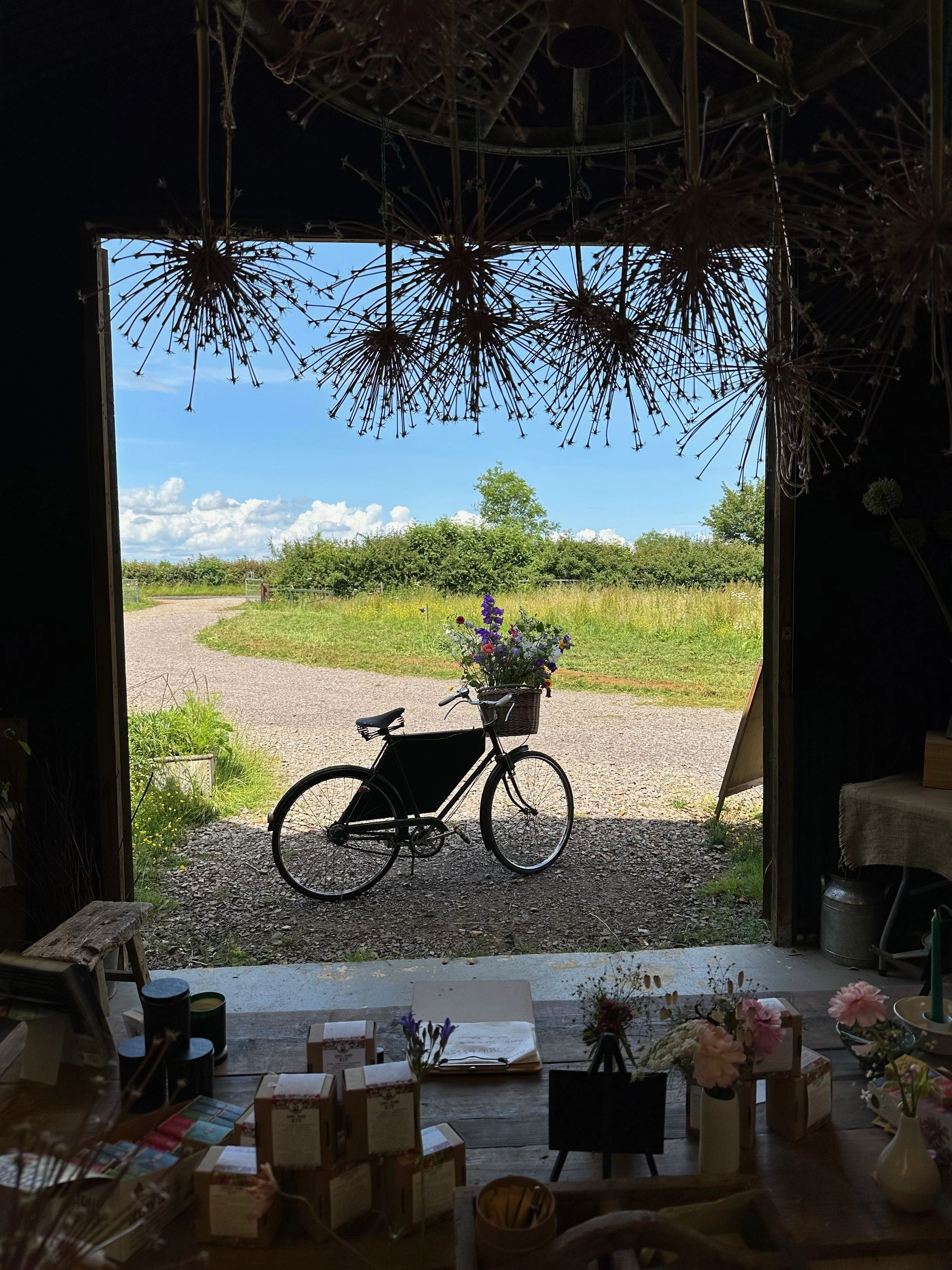 View from inside a rustic shop looking out a door at a bicycle with a basket of flowers parked on a gravel path outside, with green trees, grassy fields, and a blue sky with fluffy clouds in the background.