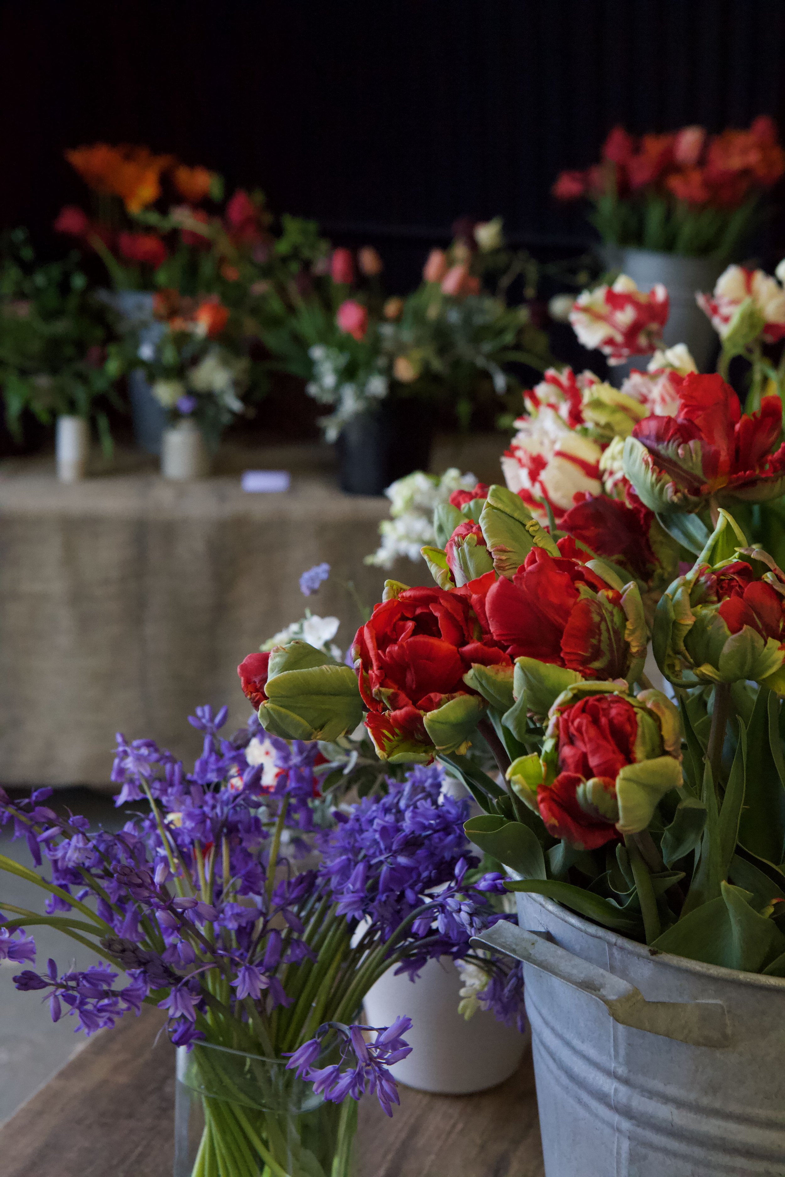 Close-up of vibrant red and green tulips in a metal bucket and purple allium flowers in a glass vase on a wooden table, floral display setup.