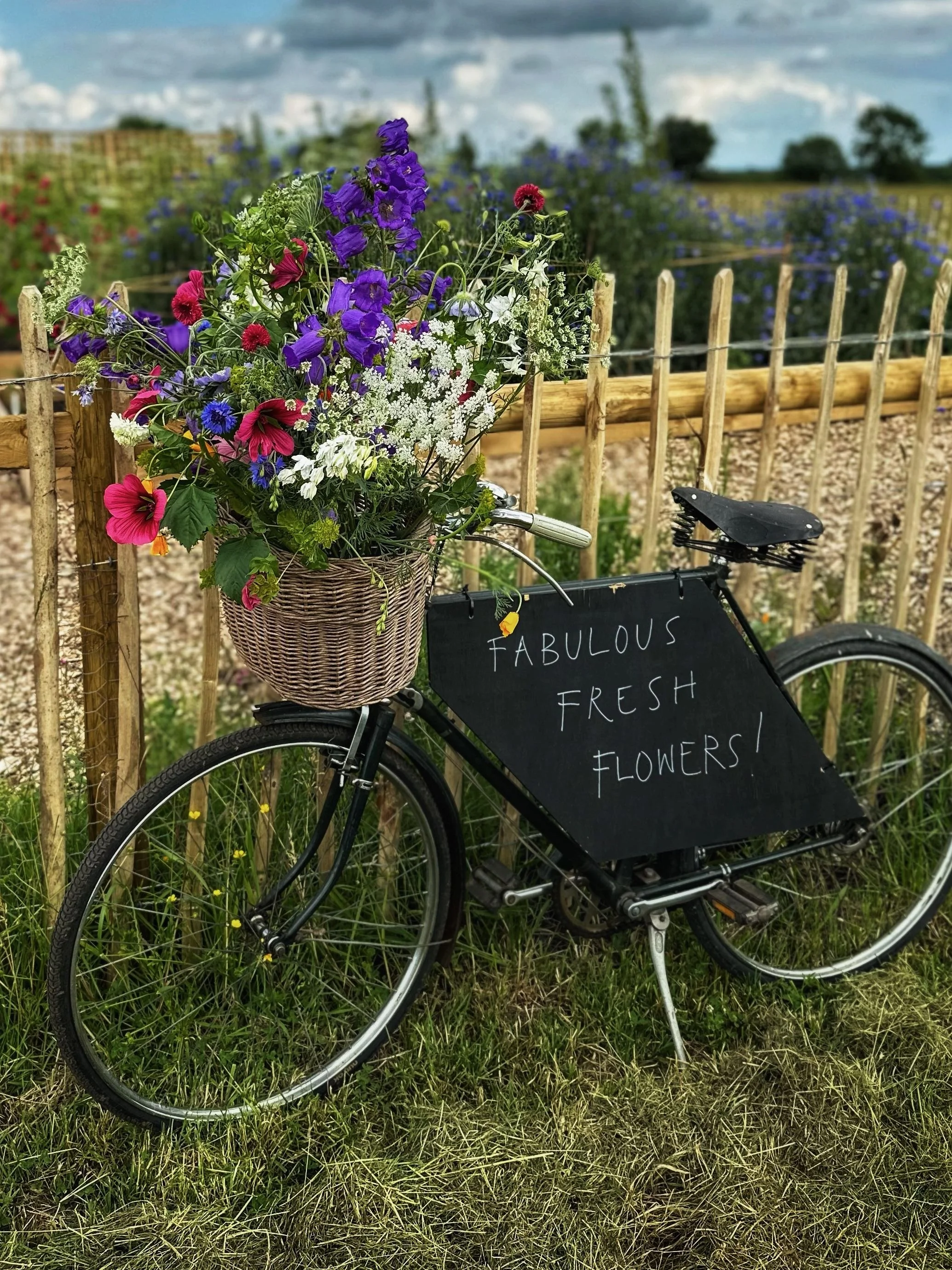 A bicycle with a basket of vibrant fresh flowers attached to the front, parked beside a wooden fence in a lush field of wildflowers, with a chalkboard sign reading 'Fabulous Fresh Flowers!'