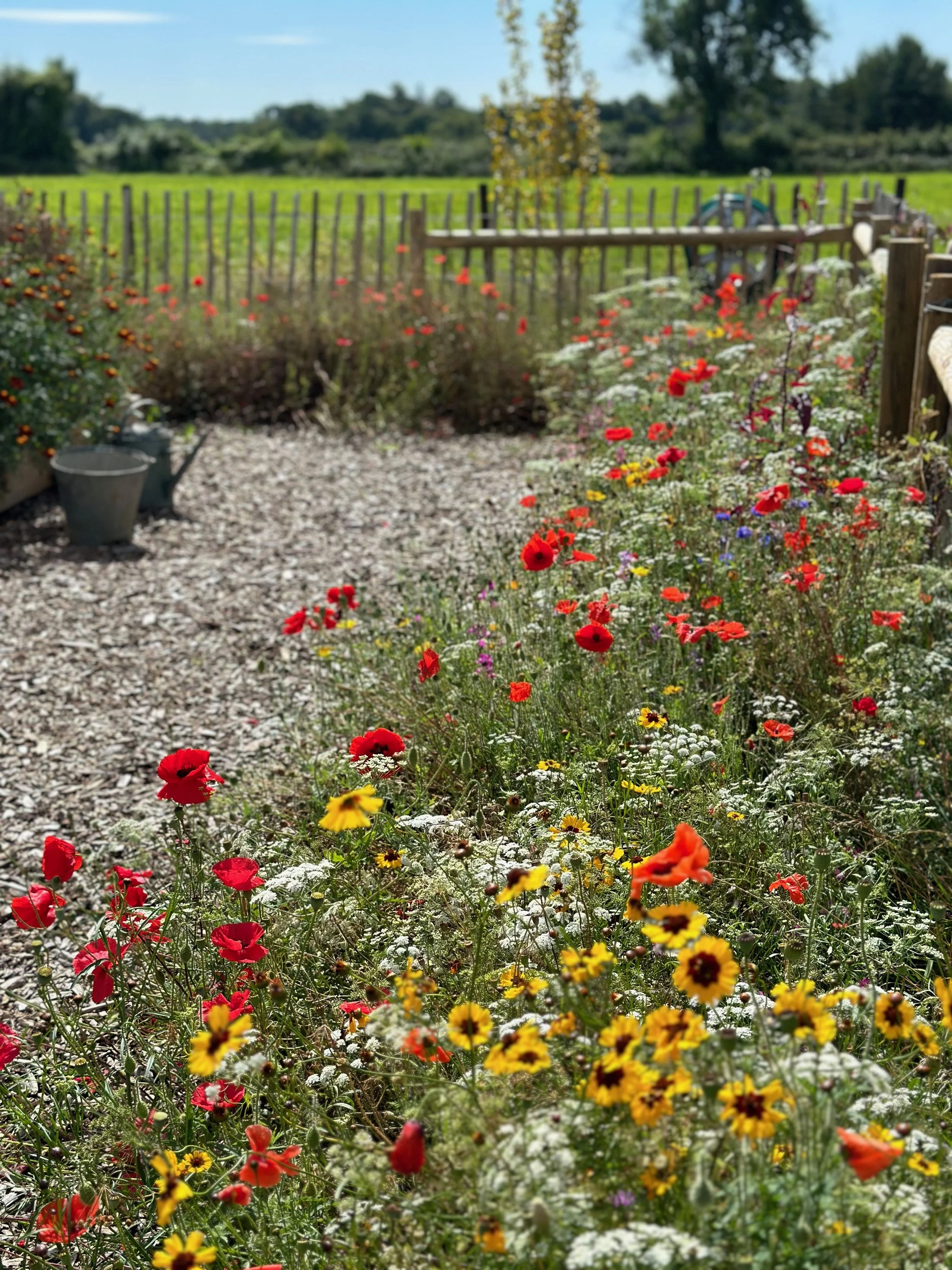 A vibrant garden with red, yellow, orange, purple, and white flowers, bordered by a wooden fence, with a gravel pathway, and open green fields with trees in the background under a partly cloudy sky.