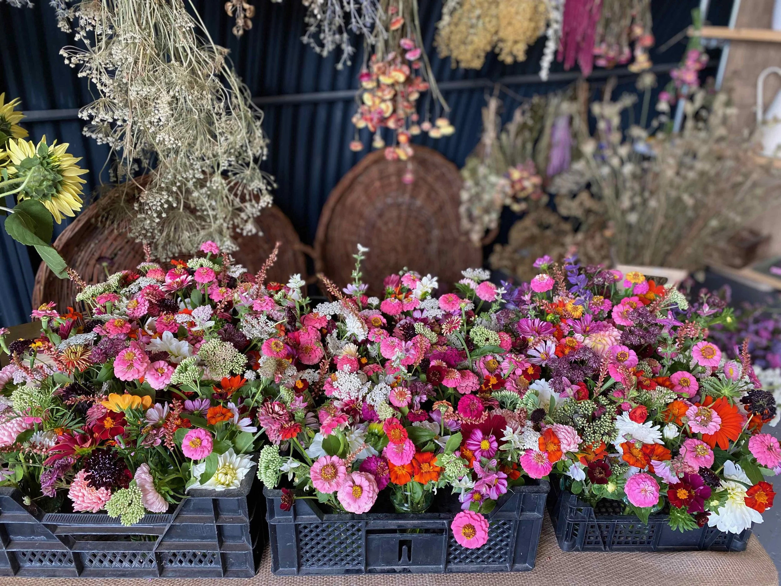 A display of colorful flowers in black plastic crates at a flower market, with dried flowers and baskets in the background.