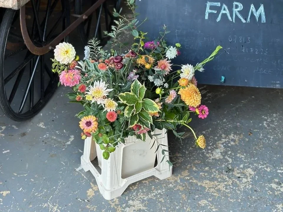 Colorful floral arrangement with pink, yellow, orange, and white flowers in a white plastic crate next to a chalkboard with the word 'FARM' written on it.