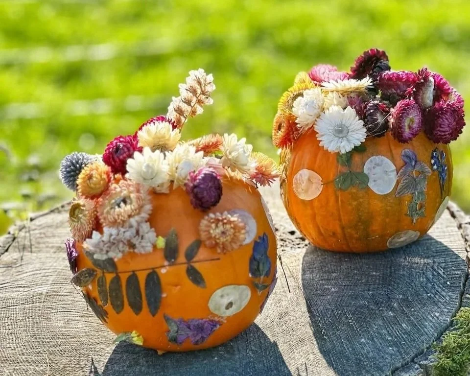 Two decorated pumpkins with dried flowers and leaves, placed on a tree stump outdoors.