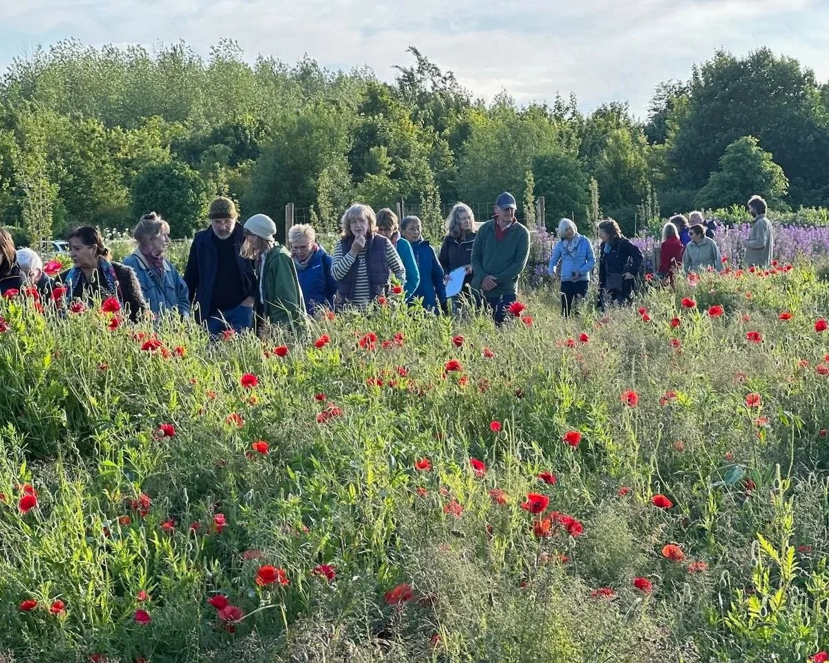 A group of people outdoors in a field of red poppies and other wildflowers, observing the flowers during daylight.