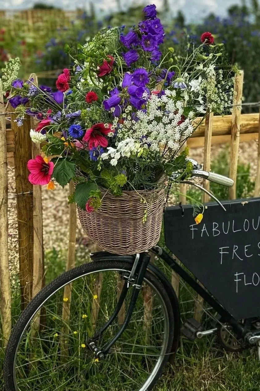 A bunch of colorful flowers in a wicker basket attached to the front of a black bicycle near a wooden fence with a blackboard sign.