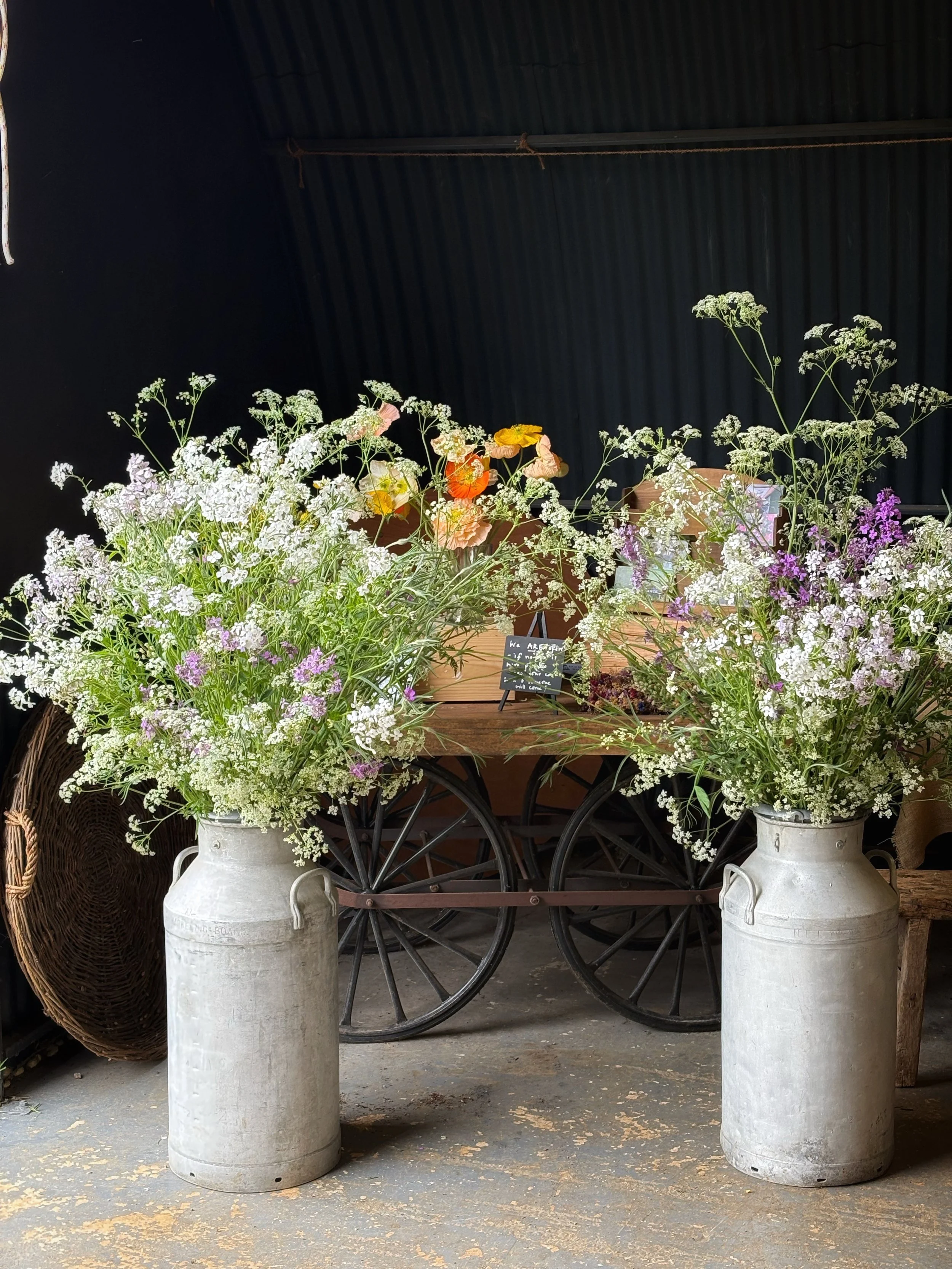 Milk Churns for hire from Chippy Flower Farm.JPG