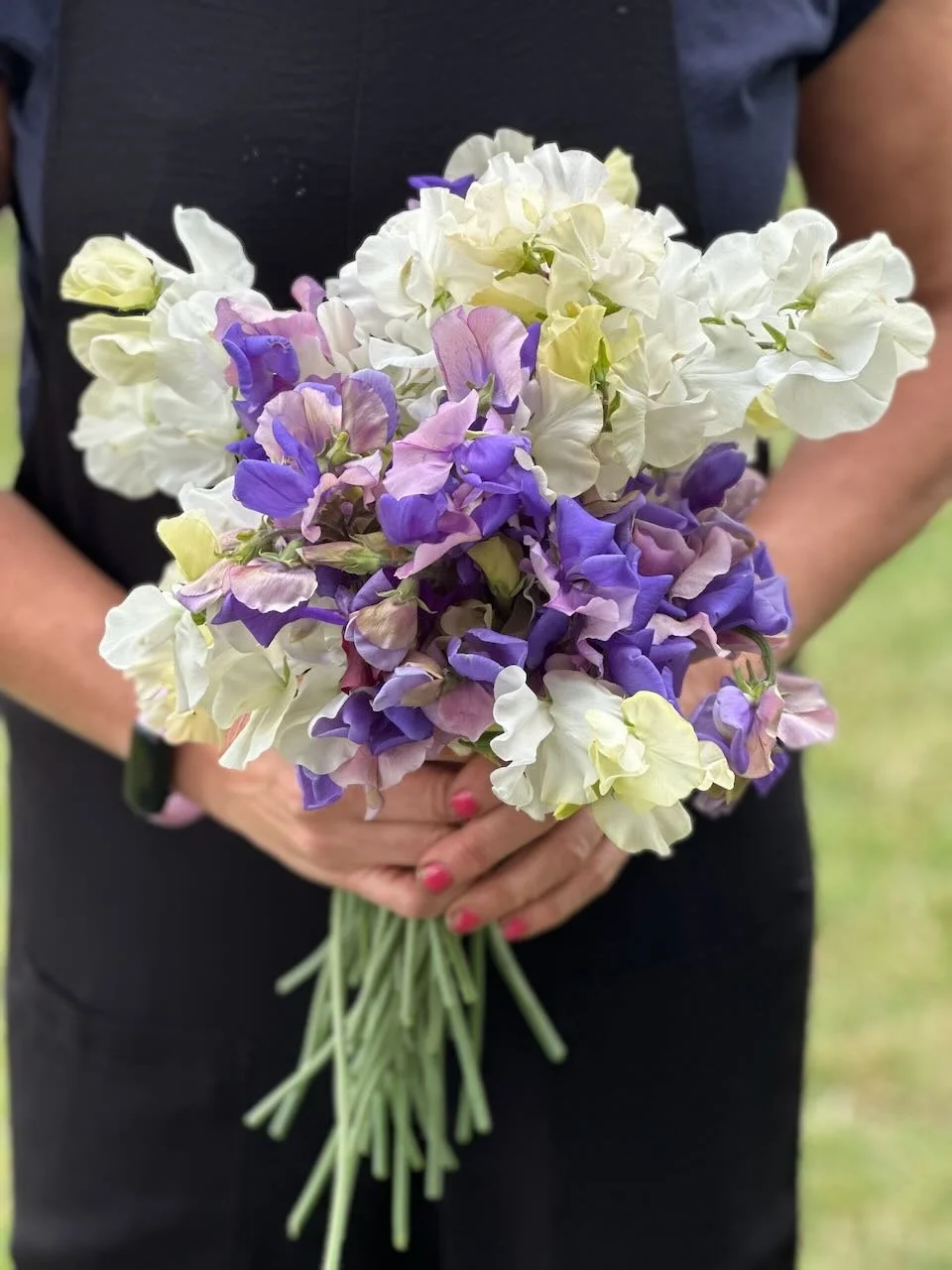 Person holding a bouquet of white, yellow, pink, purple, and violet sweet peas flowers outside.