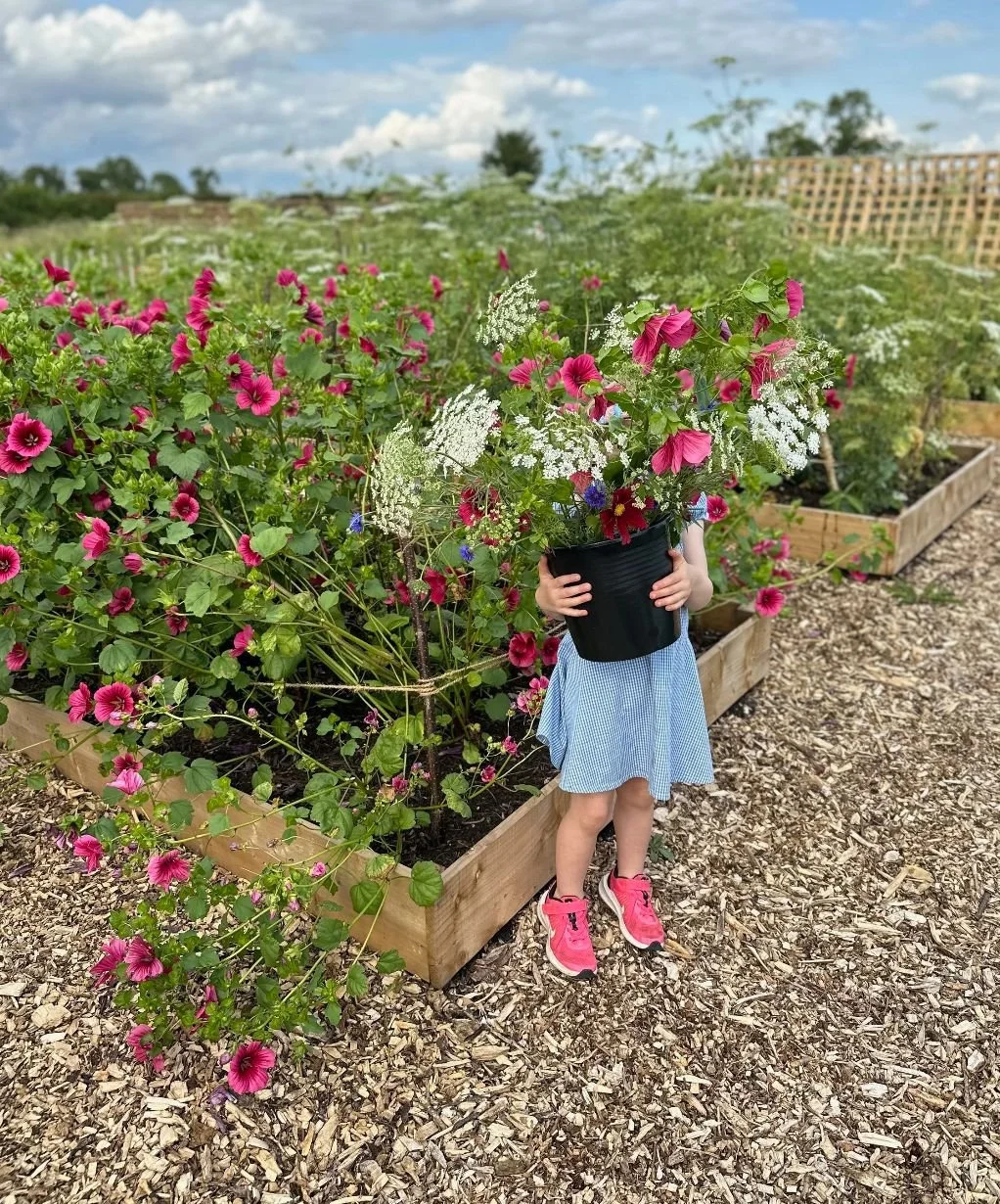 A young girl in a blue dress and pink sneakers holding a black pot with pink and white flowers while standing in a garden with wooden planters filled with blooming flowers under a cloudy sky.
