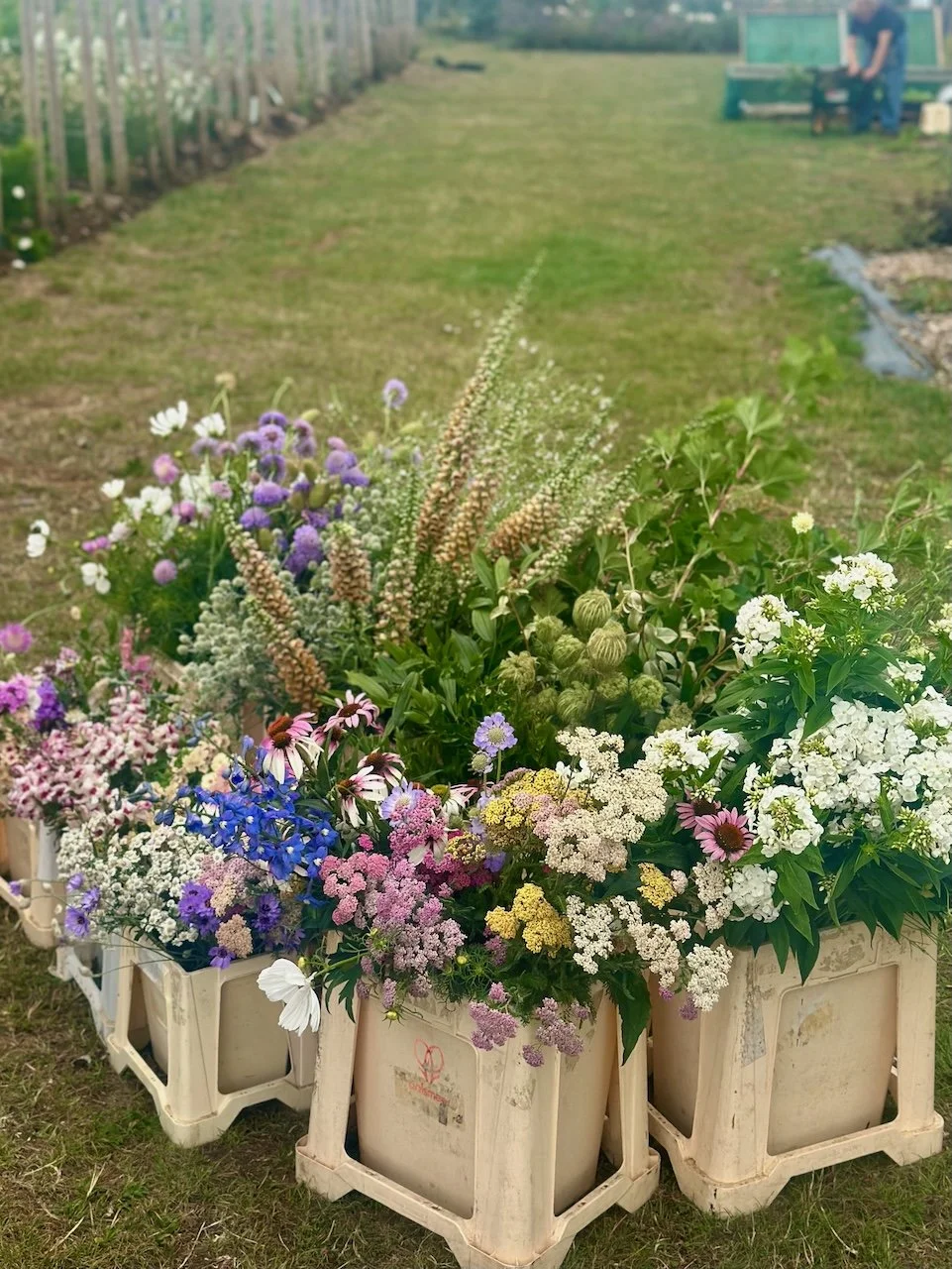 Underground Poker Suite