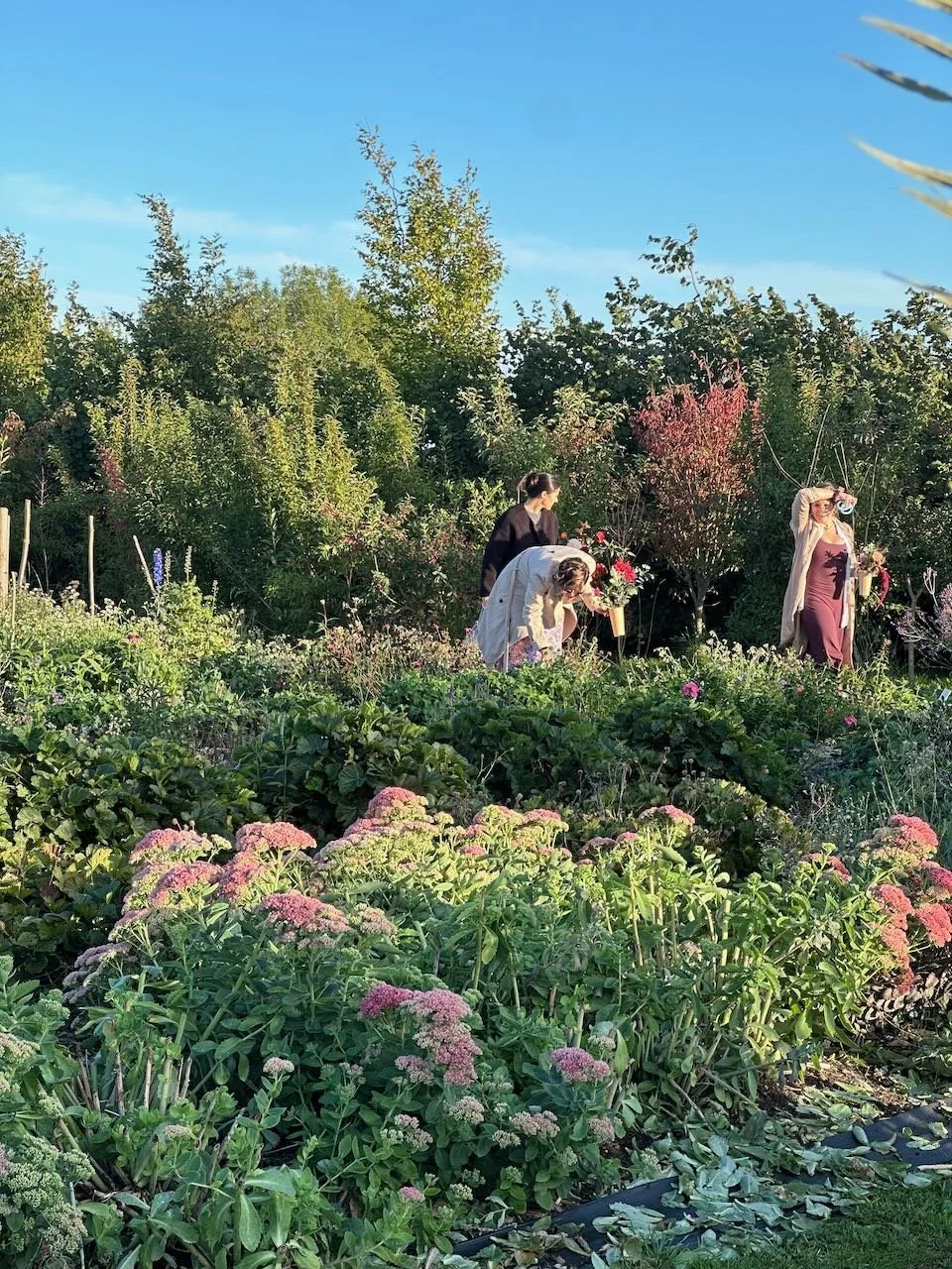 People in a garden surrounded by various flowering plants and trees on a clear, sunny day.