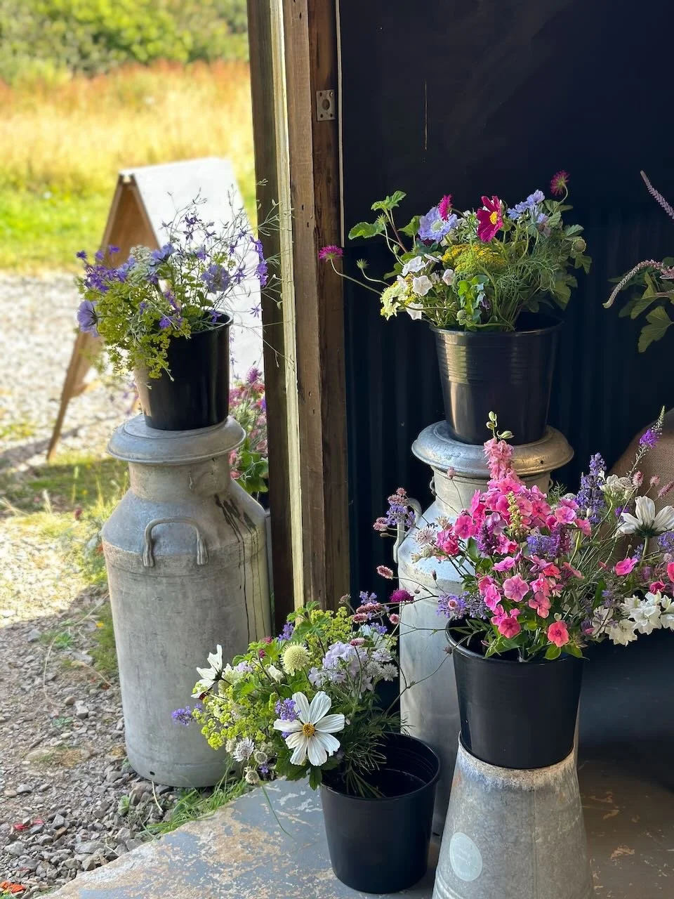 Multiple bouquets of colorful flowers placed in black pots and white ceramic containers, arranged outdoors and inside a shed with a rustic window and a dark wall.