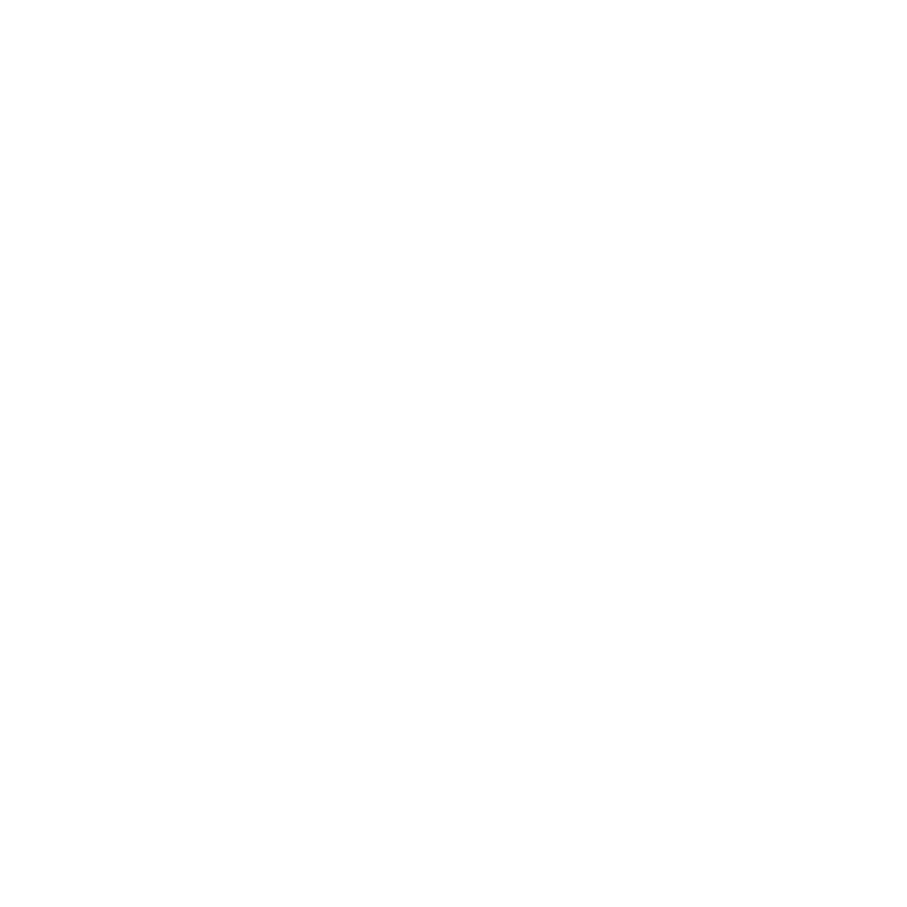 DAN STRIKE