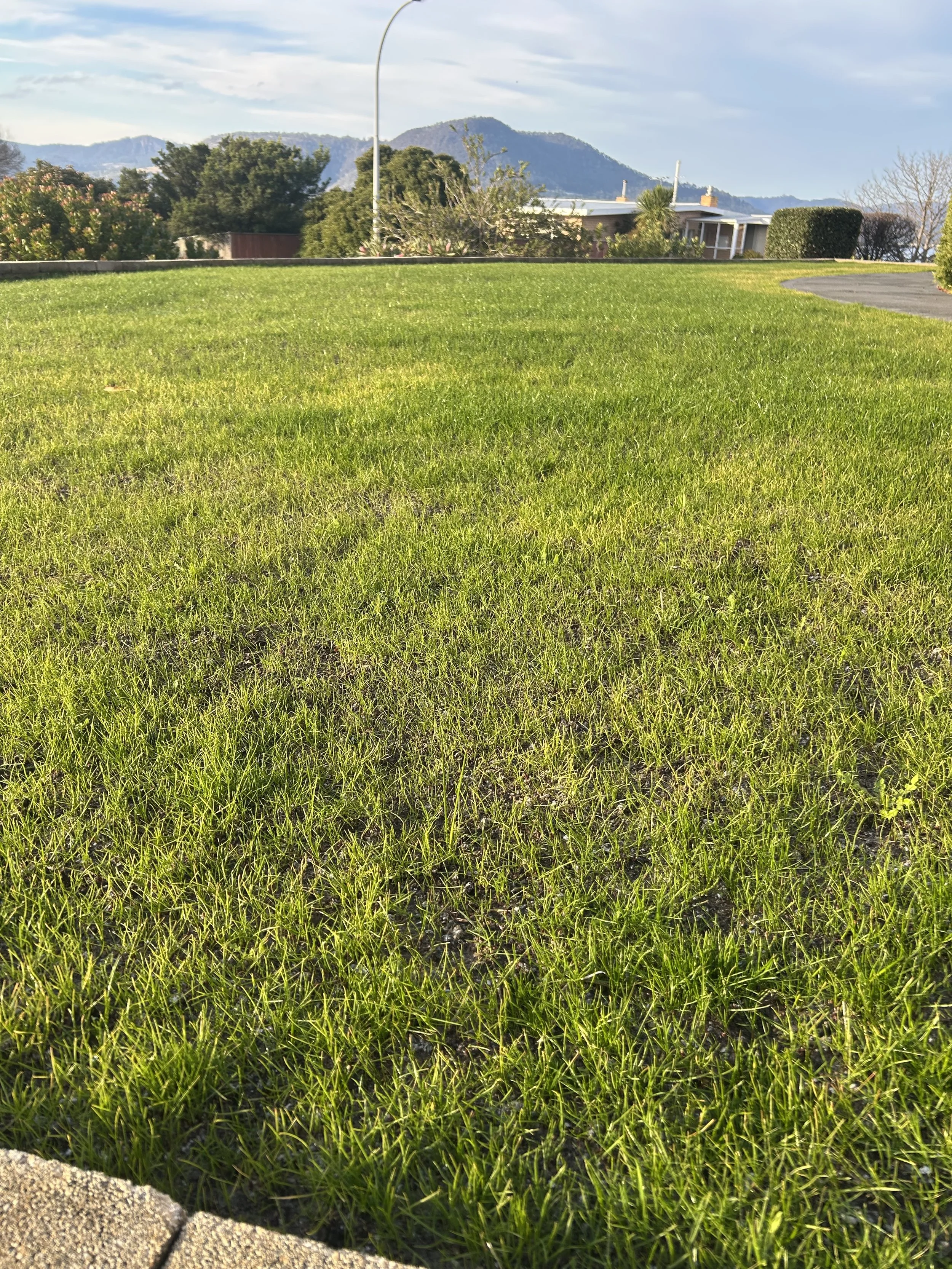 IMG_7472.jpeg