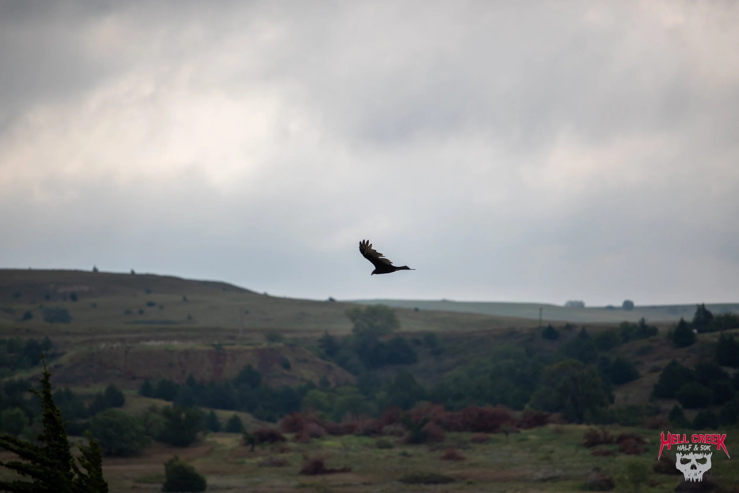 Nature_20250823_11.jpg