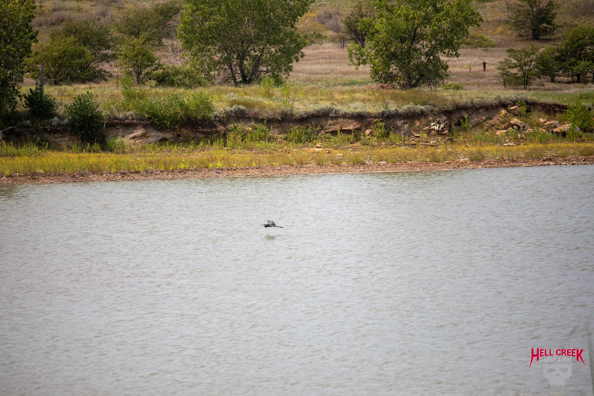 Nature_20250823_45.jpg