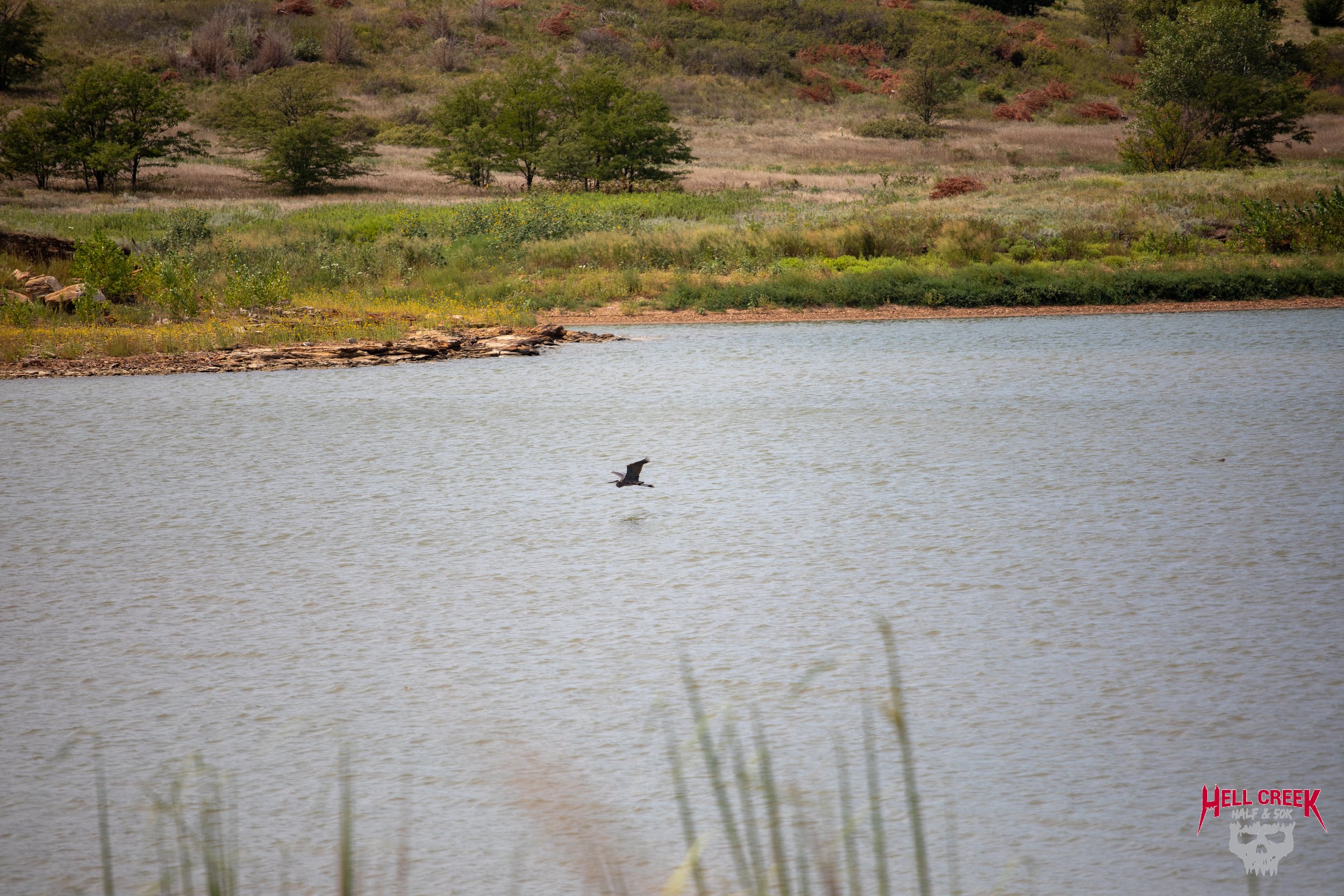 Nature_20250823_43.jpg