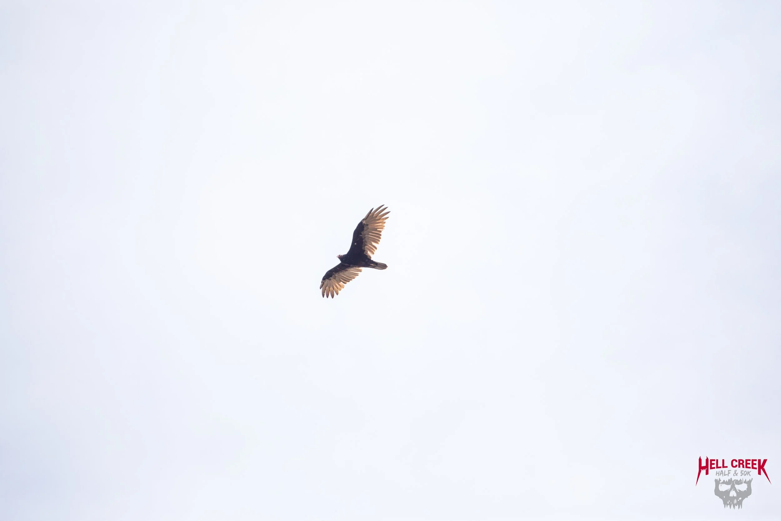 Nature_20250823_36.jpg