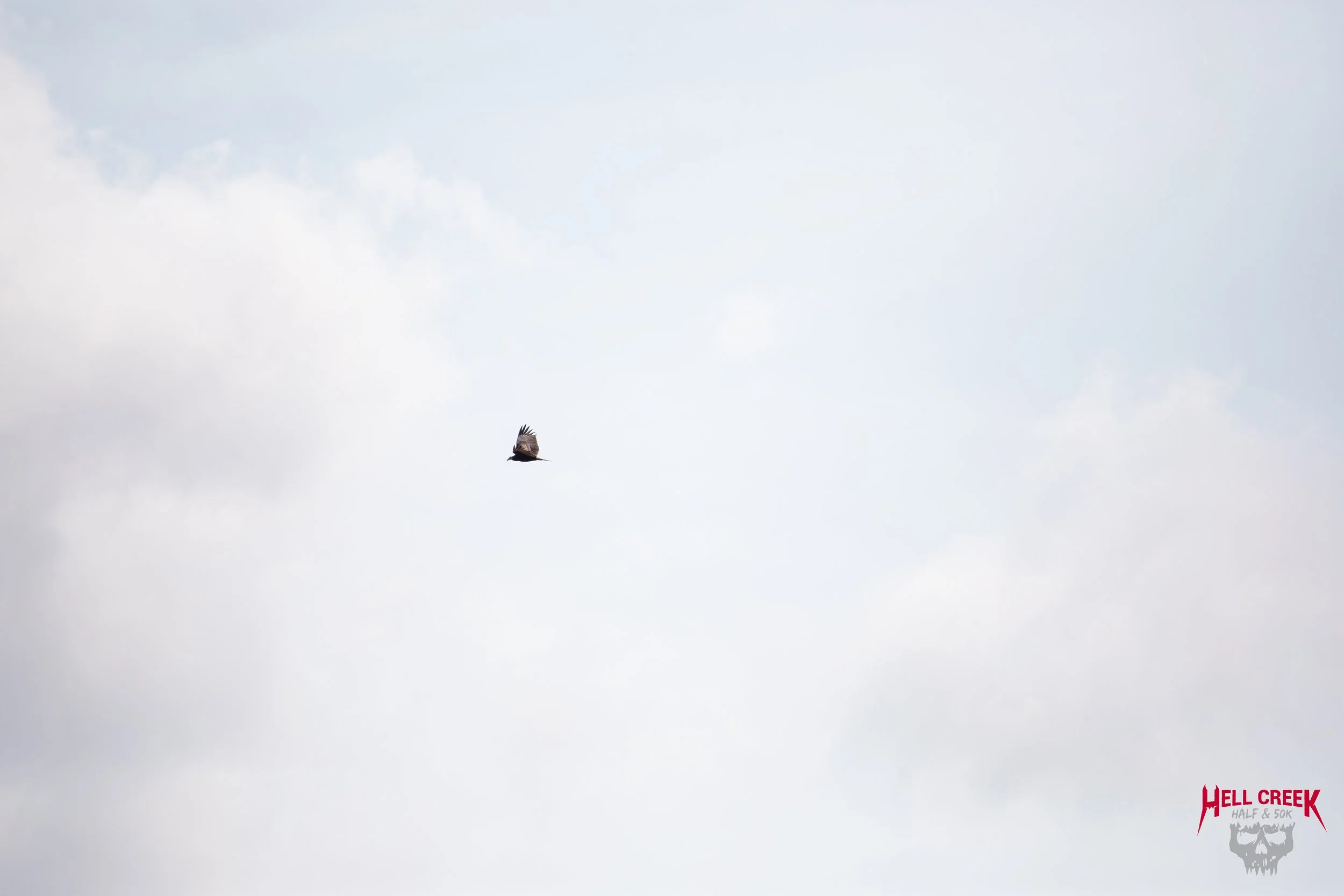 Nature_20250823_31.jpg
