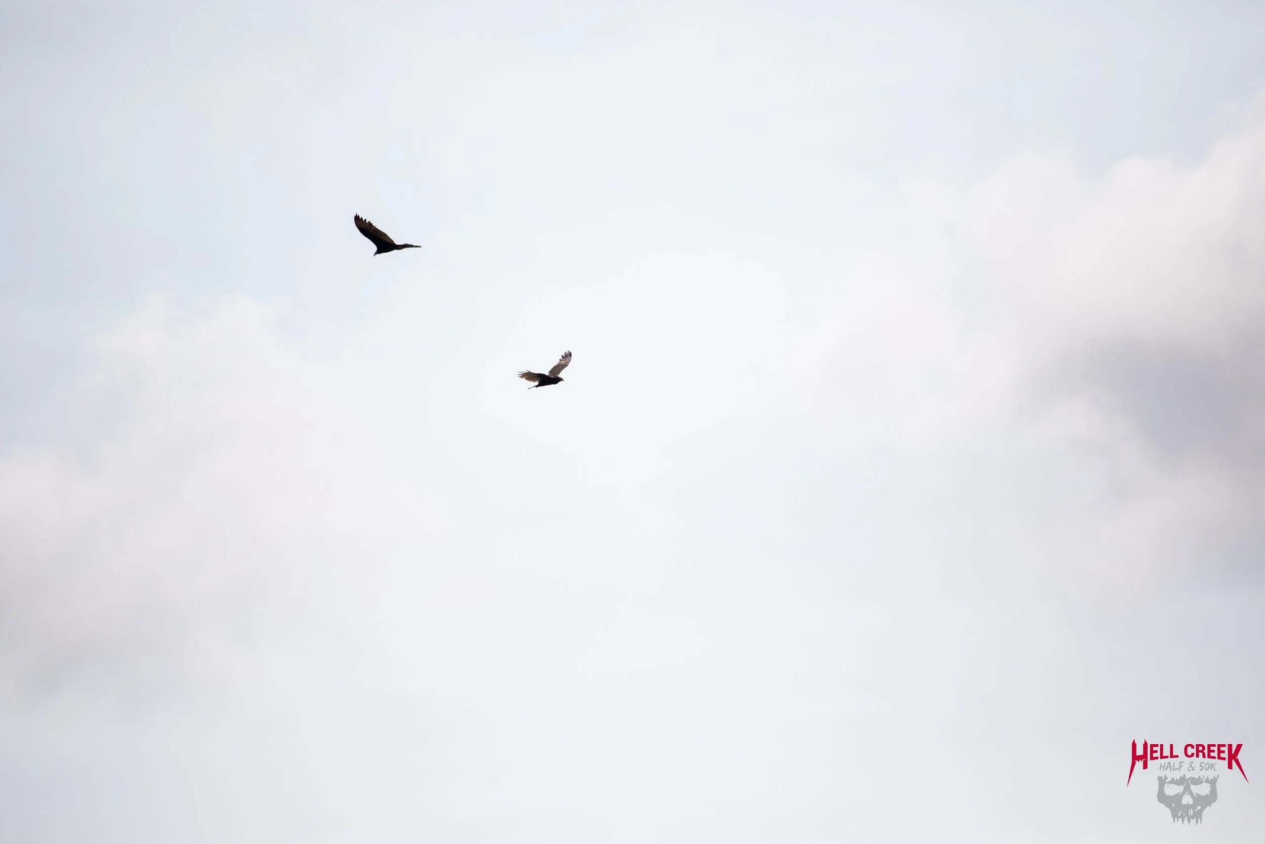 Nature_20250823_29.jpg