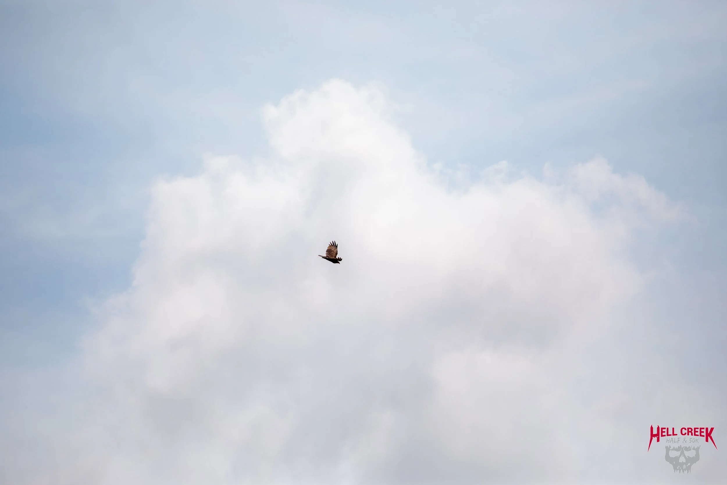 Nature_20250823_27.jpg