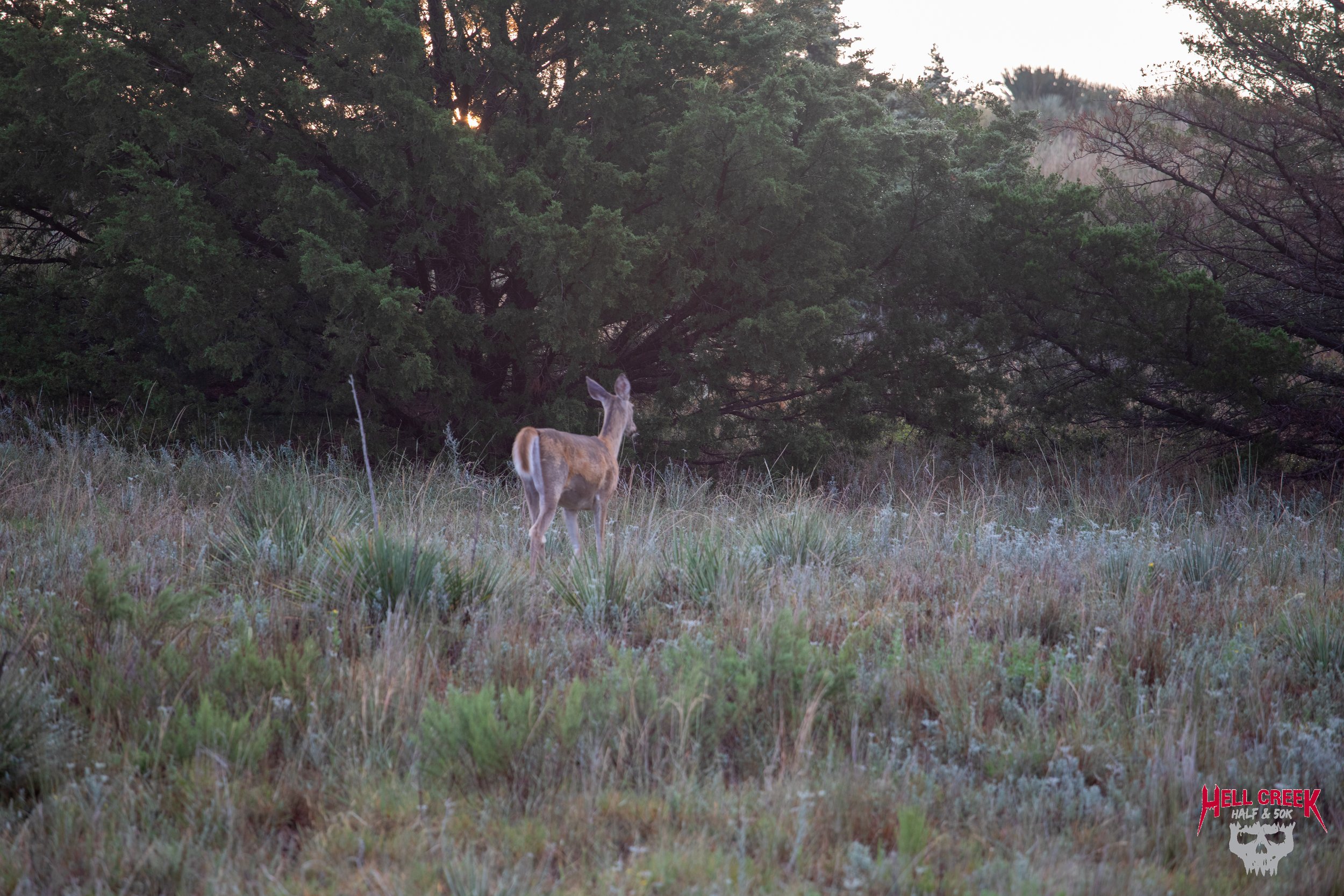 Nature_20250823_1.jpg