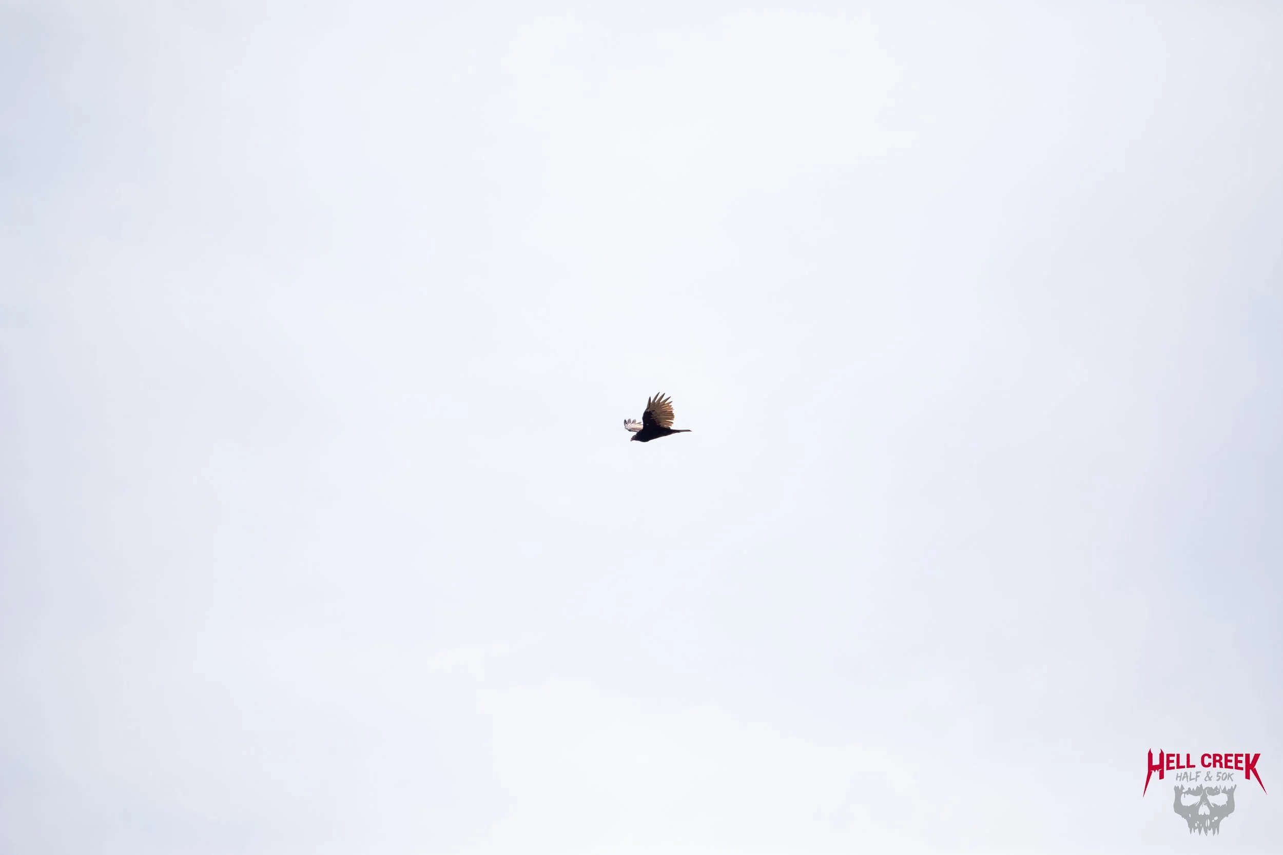 Nature_20250823_33.jpg