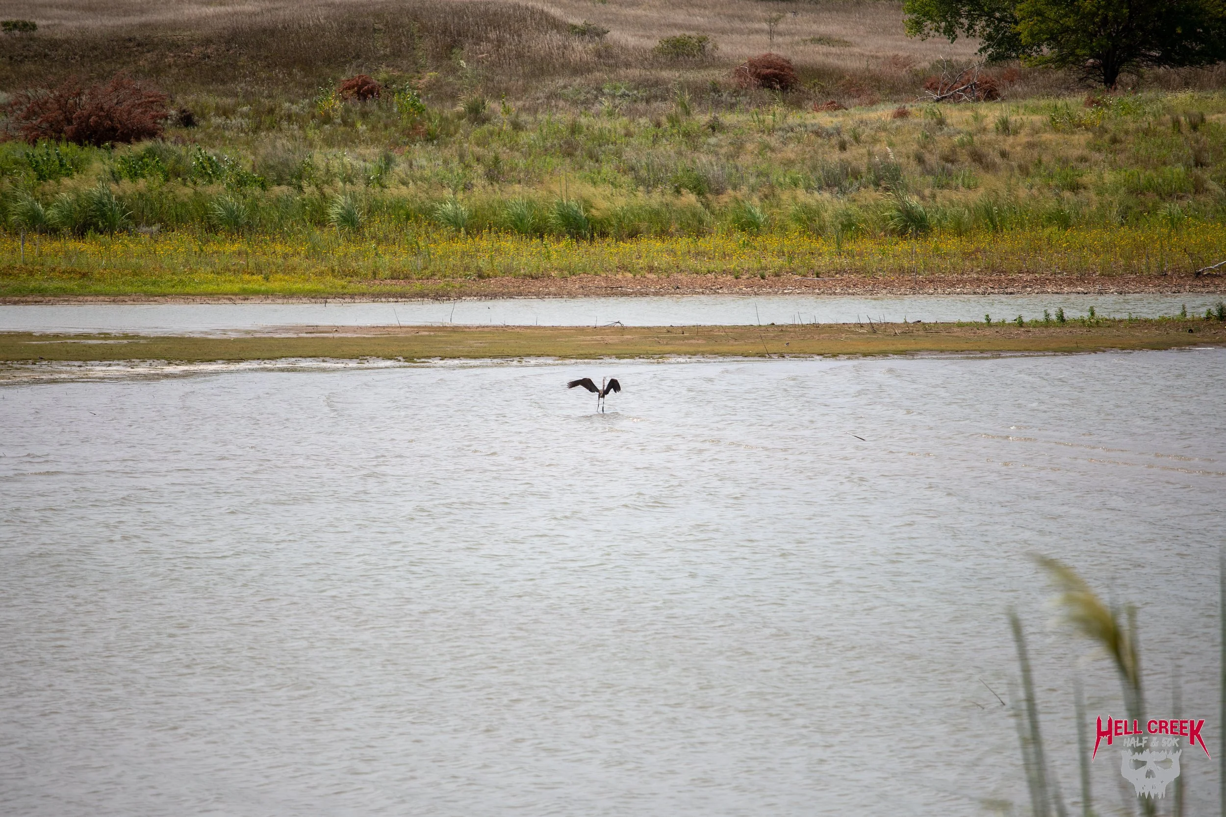 Nature_20250823_49.jpg