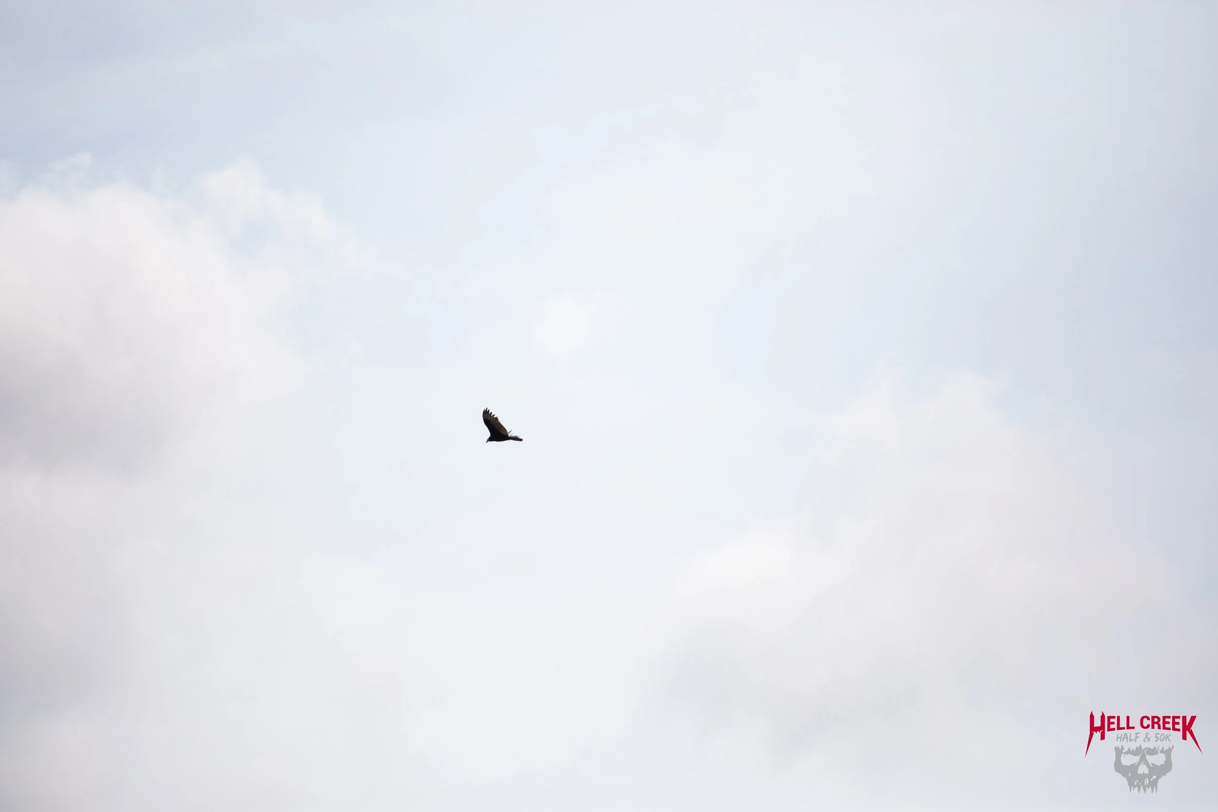 Nature_20250823_30.jpg