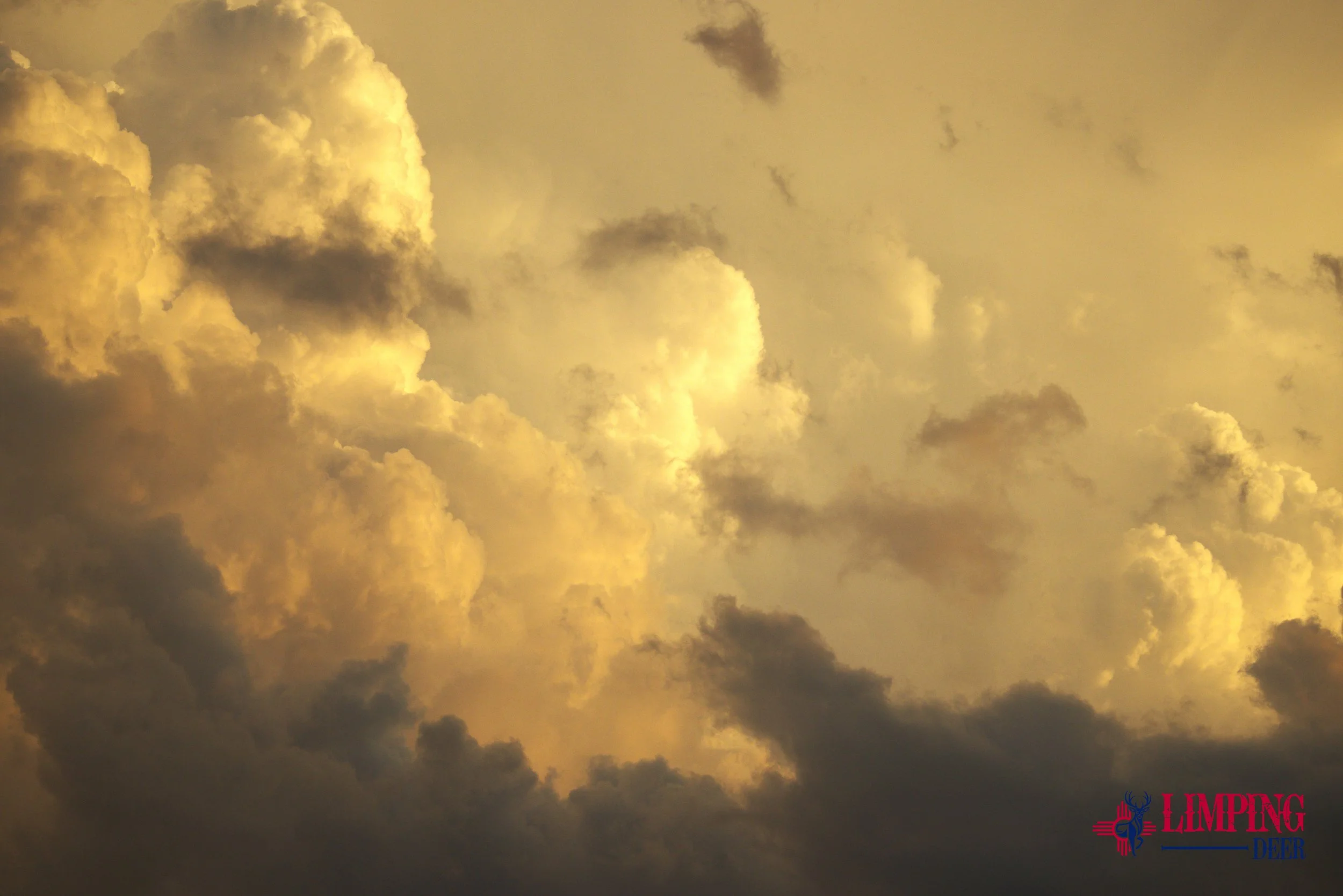 _MG_0404 1.jpg